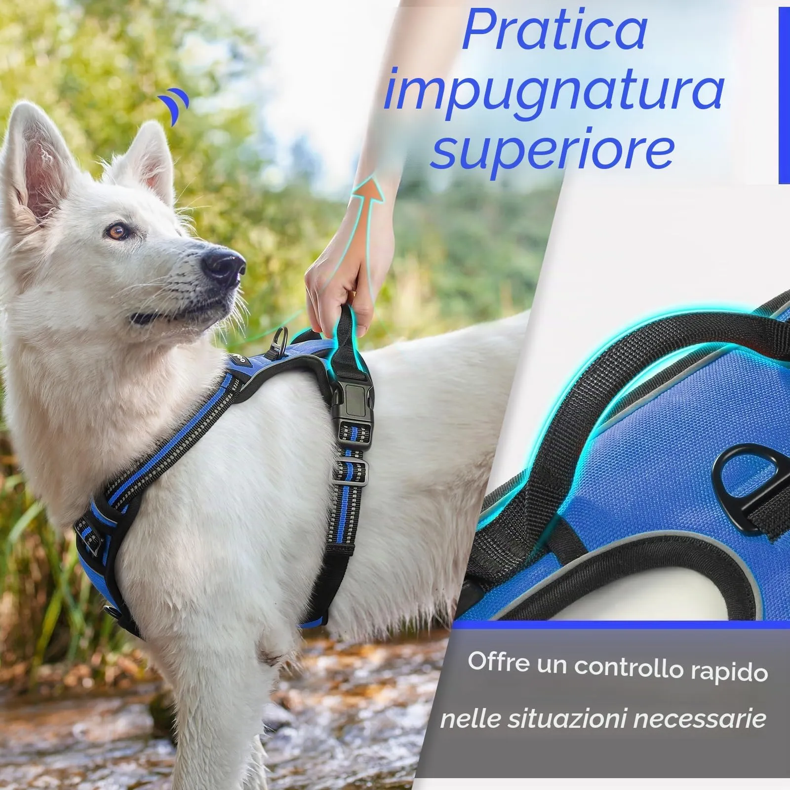 Eagloo Pettorina Cane ad H Anti Tiro, Blu, Taglia S - immagine 5