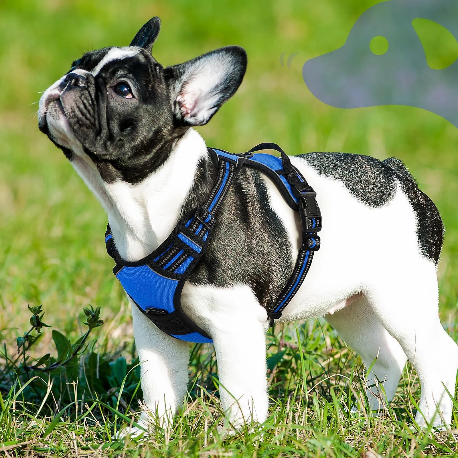 Eagloo Pettorina Cane ad H Anti Tiro, Blu, Taglia S - immagine 9