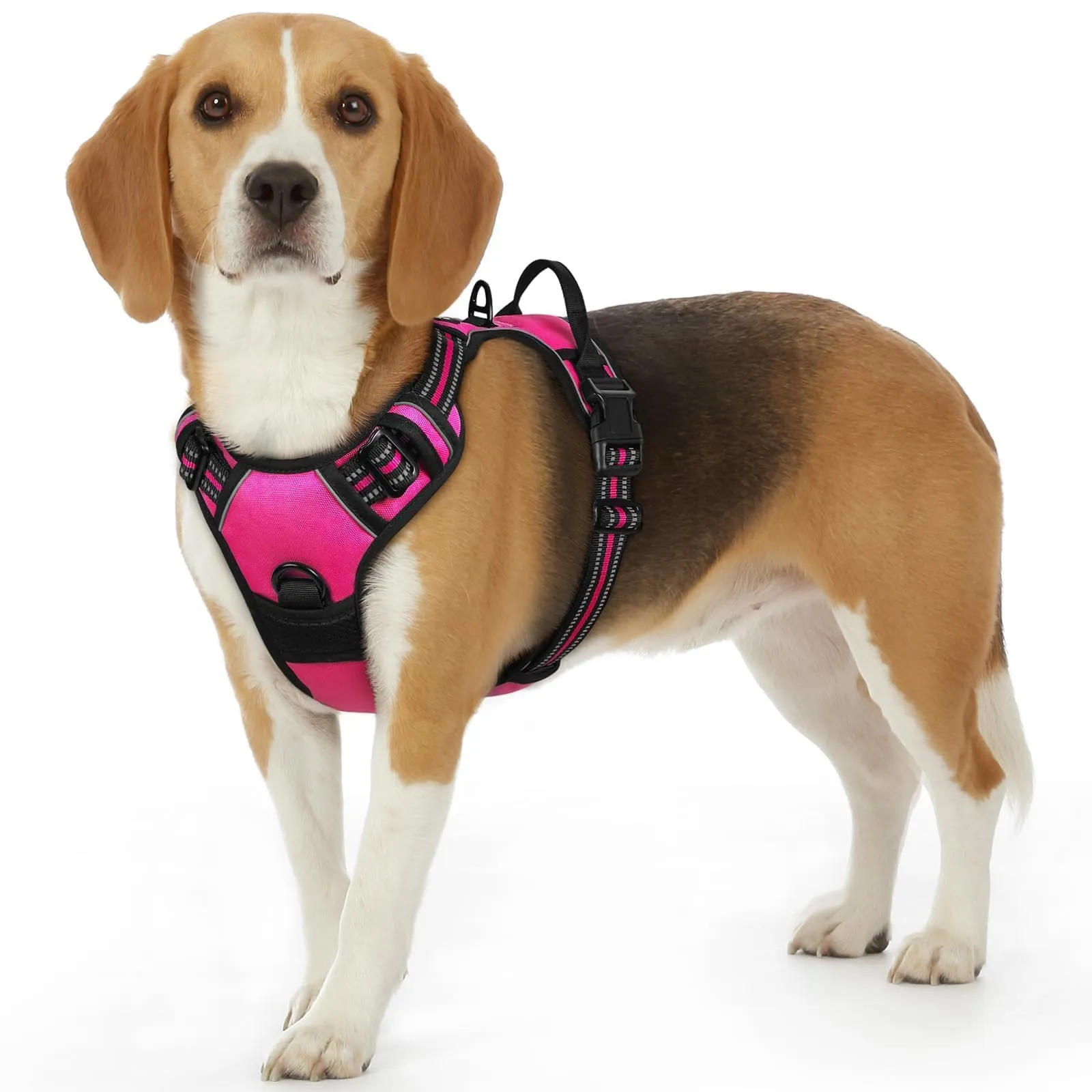 Eagloo Pettorina Cane ad H, Rosa Rossa, Taglia S - immagine 1