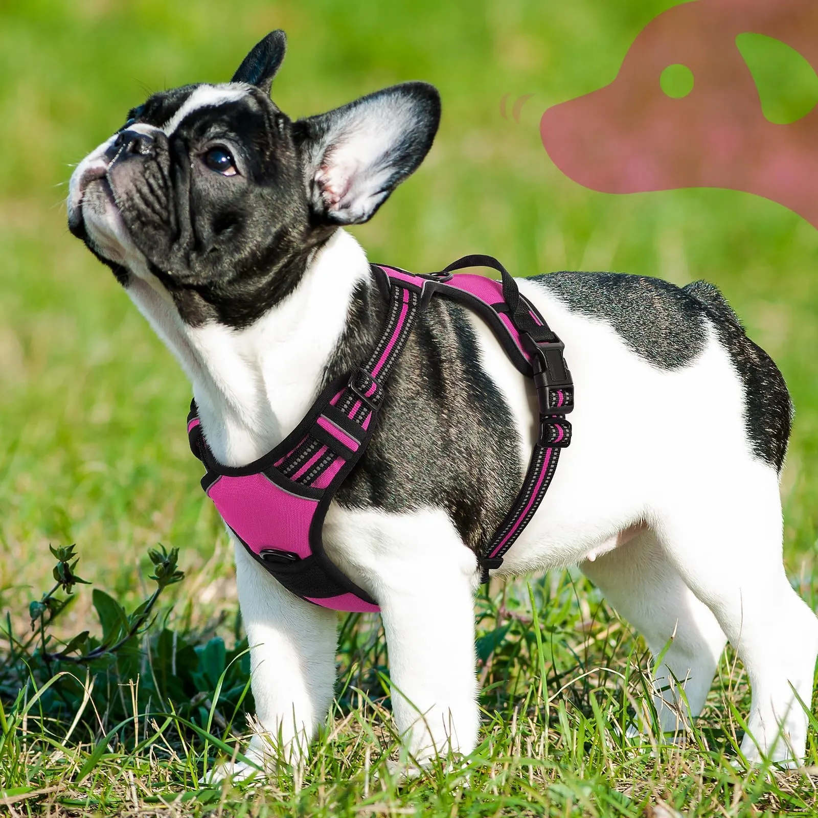 Eagloo Pettorina Cane ad H, Rosa Rossa, Taglia S - immagine 9
