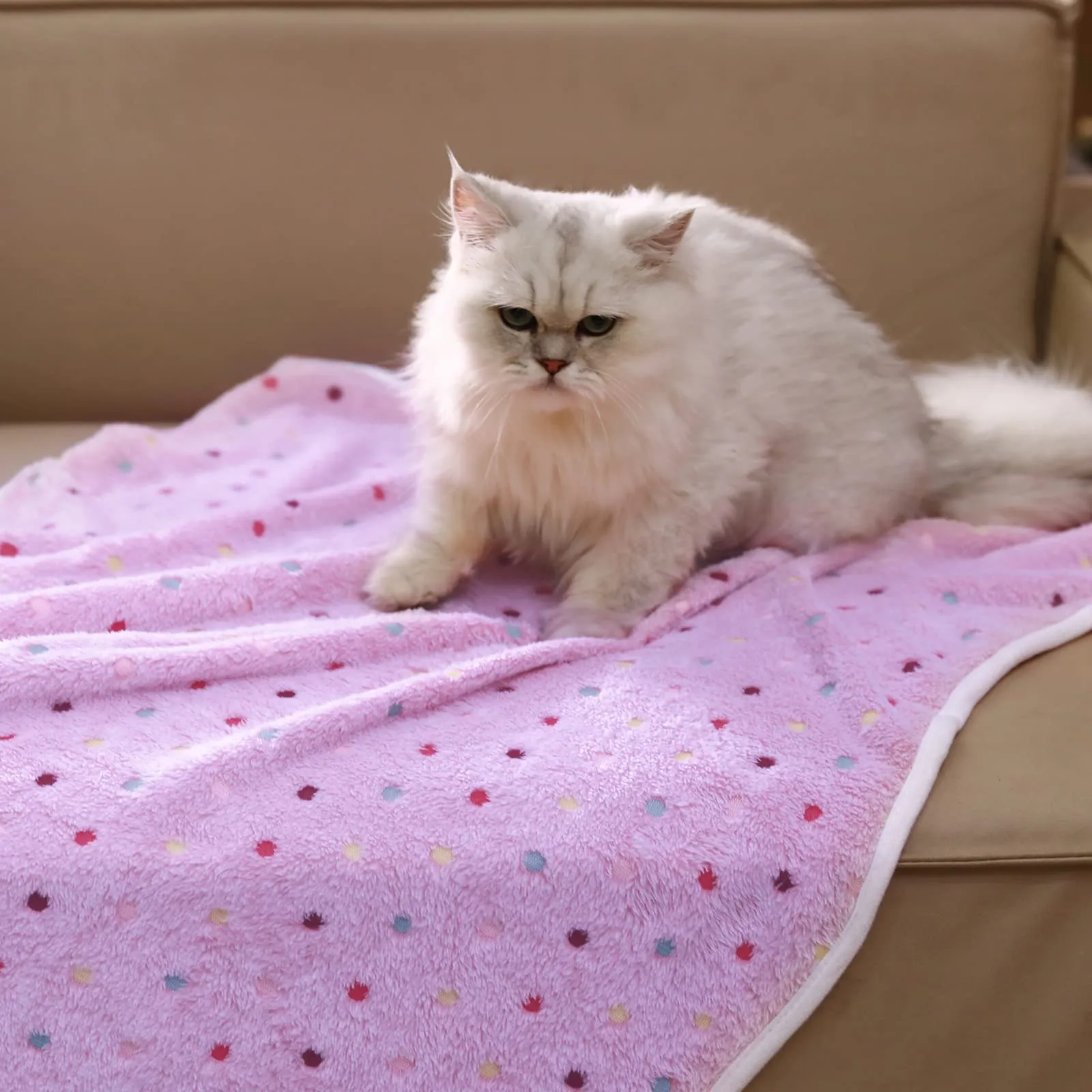 luciphia Coperta per Cane e Gatto in Flanella, 3 Pezzi, Punto, Medium (76 x 52cm) - immagine 7