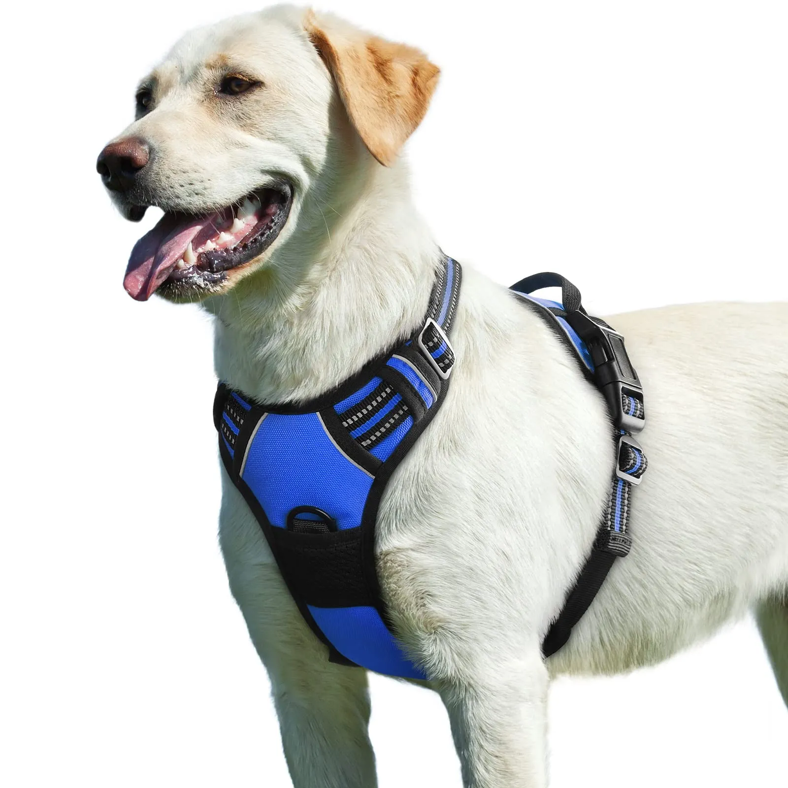 Eagloo Pettorina Cane Anti Tiro, Blu, Taglia L - immagine 1