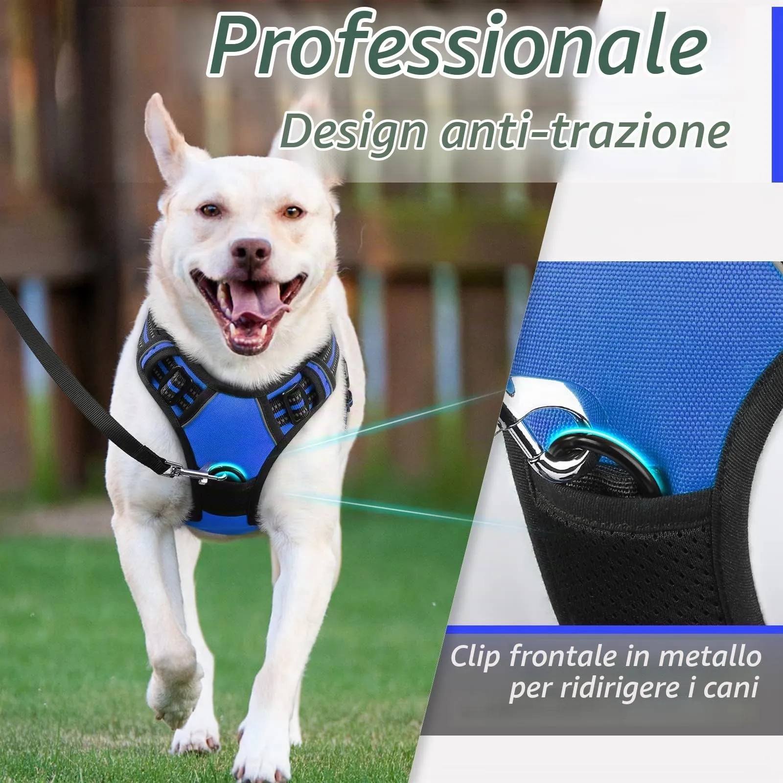 Eagloo Pettorina Cane Anti Tiro, Blu, Taglia L - immagine 3