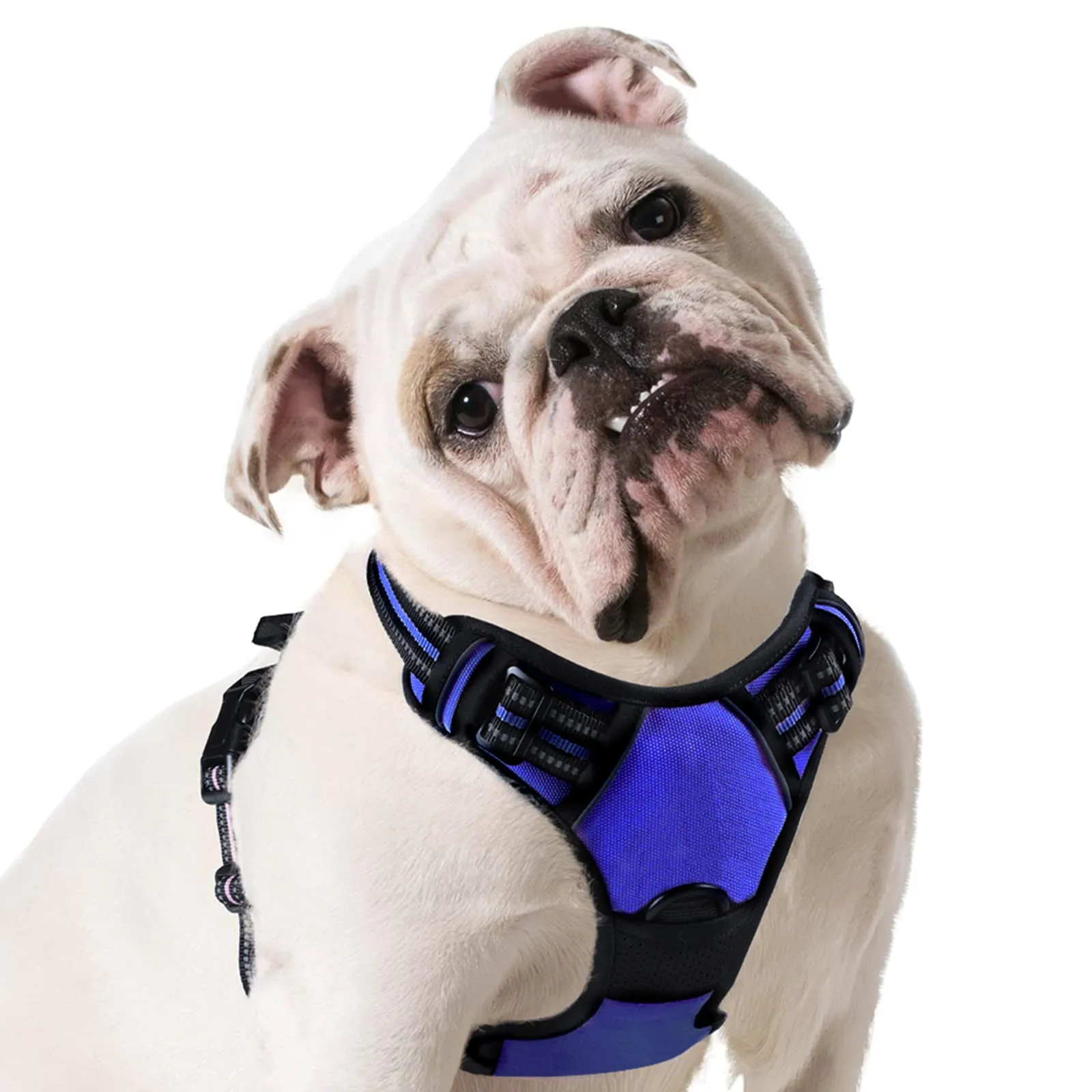 Eagloo Pettorina Cane Anti Tiro, Taglia M, Blu - immagine 1