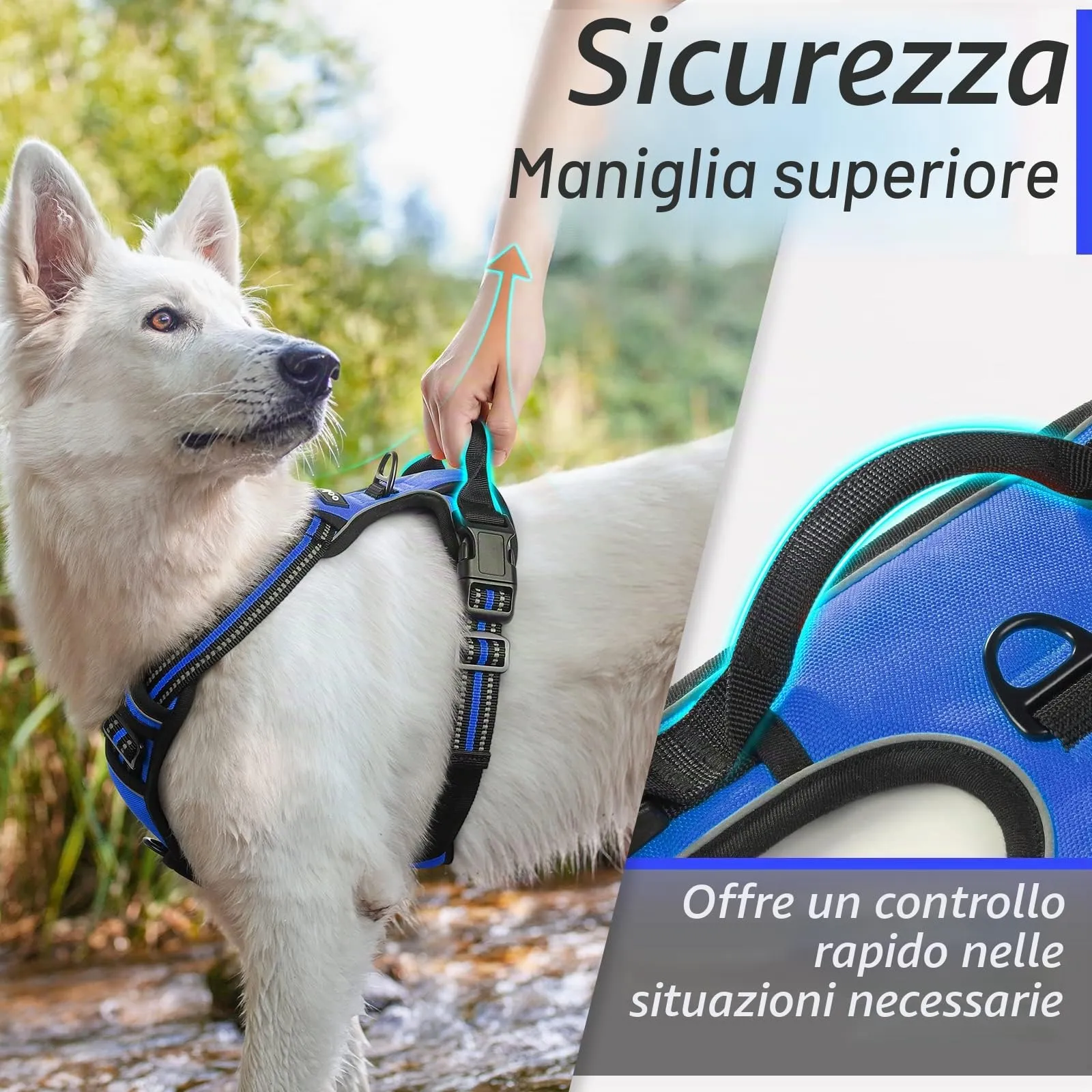 Eagloo Pettorina Cane Anti Tiro, Taglia M, Blu - immagine 5