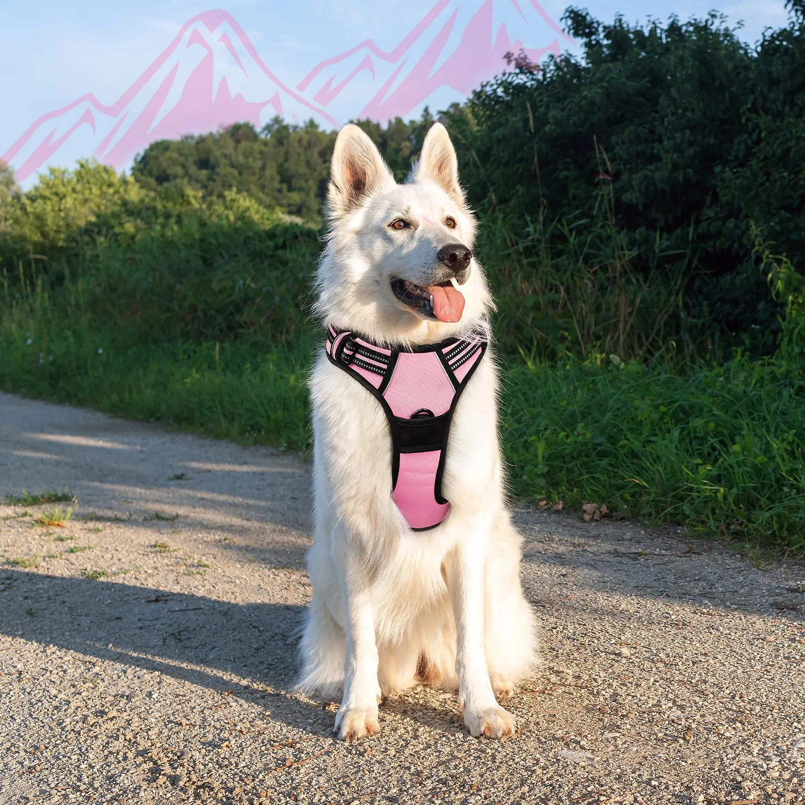 Eagloo Pettorina Cane Anti Tiro, Rosa, Taglia XL - immagine 9