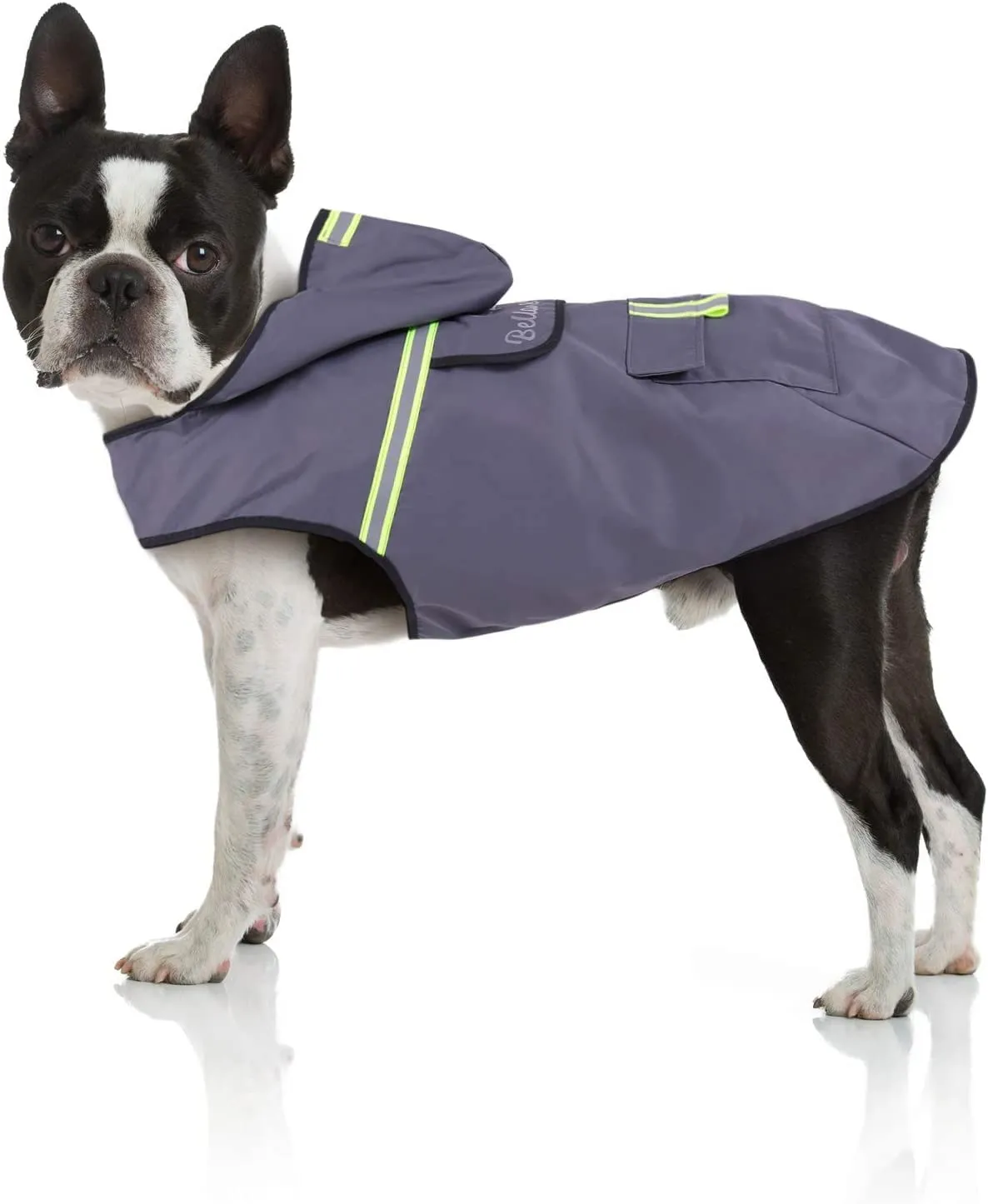 Bella & Balu Impermeabile Cane con Cappuccio e Catarifrangenti, S, Grigio - immagine 1