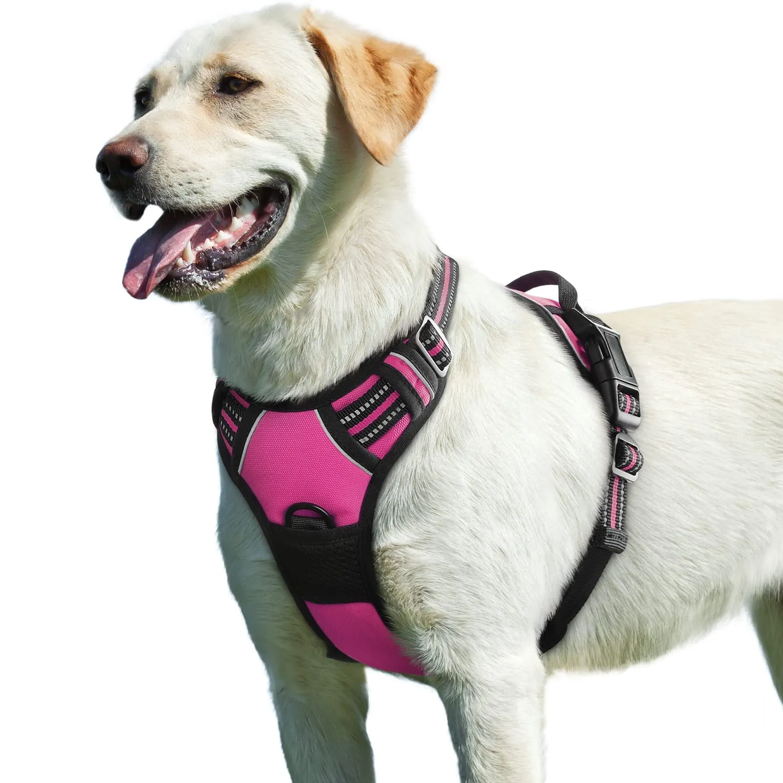 Eagloo Pettorina Cane ad H, Rosa Rossa, Taglia L - immagine 1
