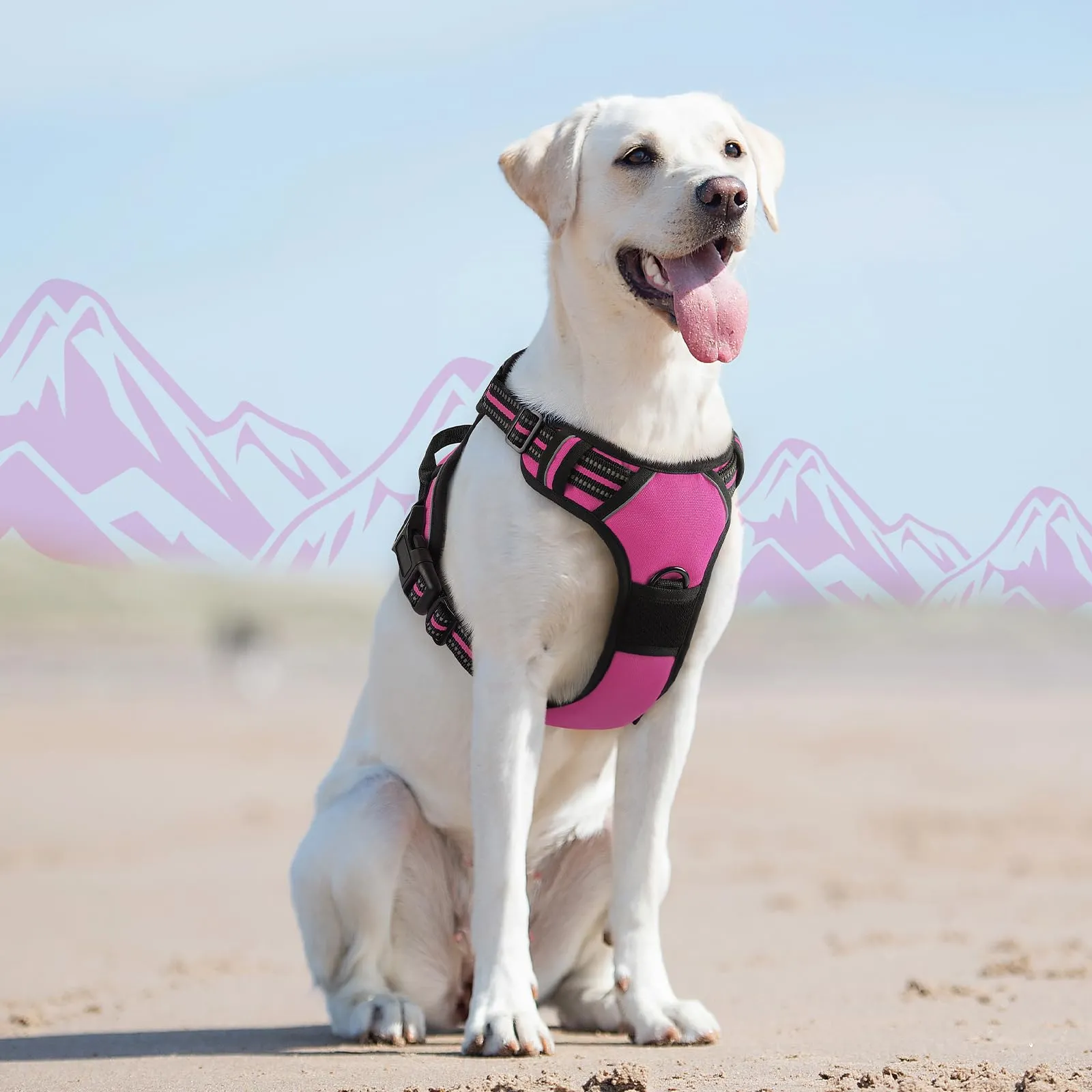 Eagloo Pettorina Cane ad H, Rosa Rossa, Taglia L - immagine 9