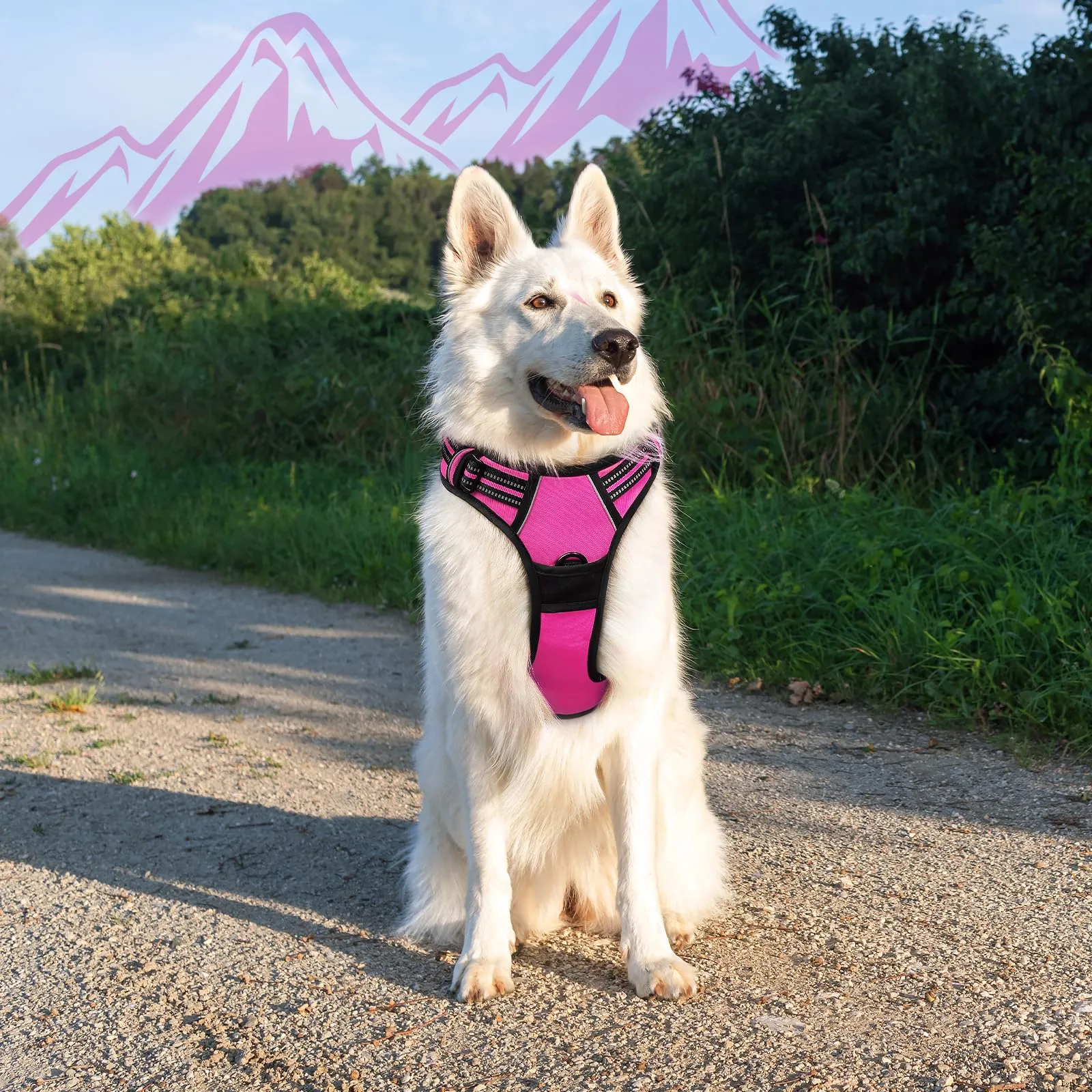 Eagloo Pettorina Cane ad H, Rosa Rossa, XL - immagine 9