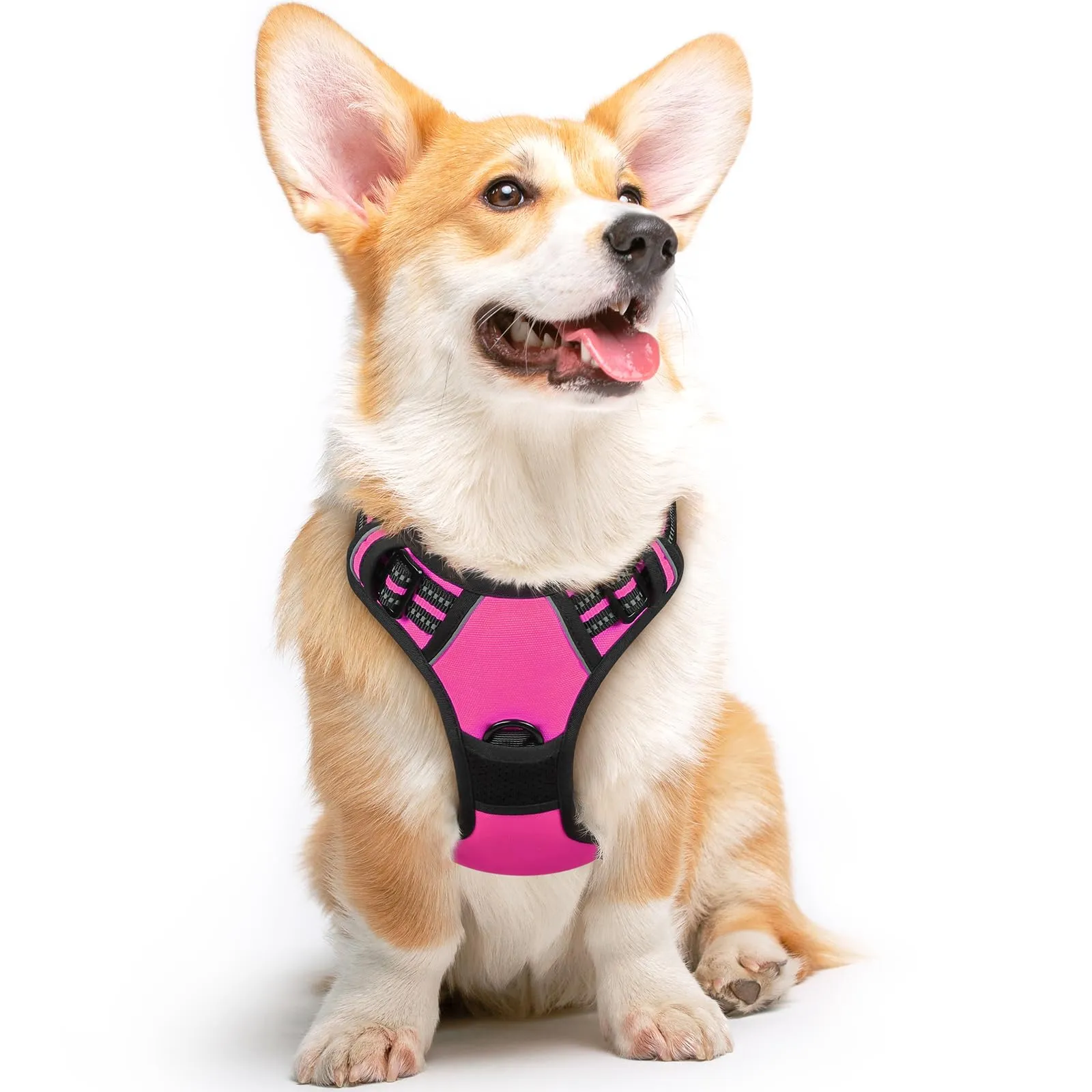 Eagloo Pettorina Cane ad H, Rosa Rossa, Taglia M - immagine 1