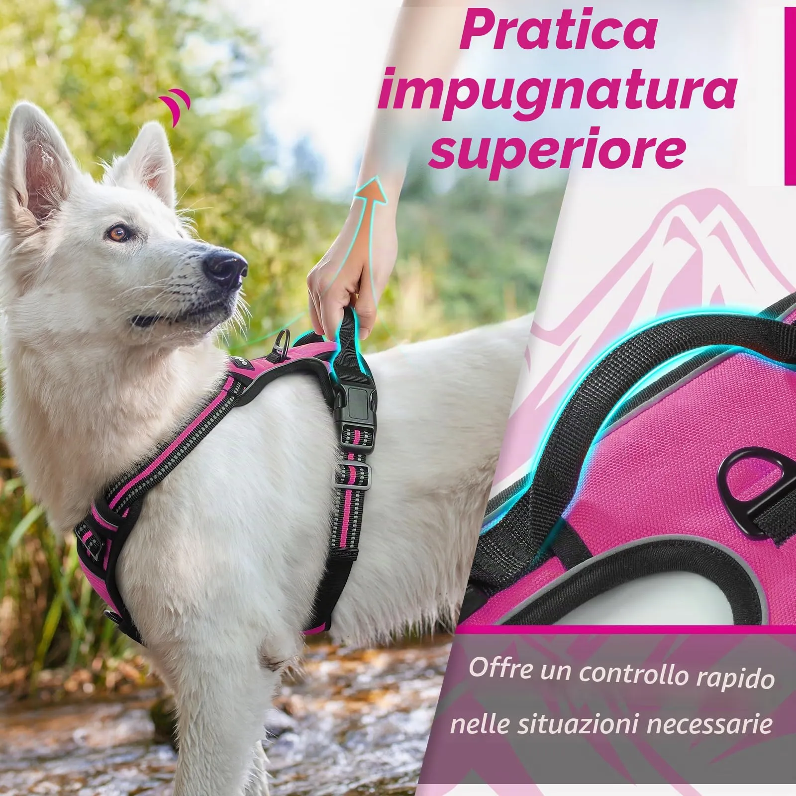 Eagloo Pettorina Cane ad H, Rosa Rossa, Taglia M - immagine 5