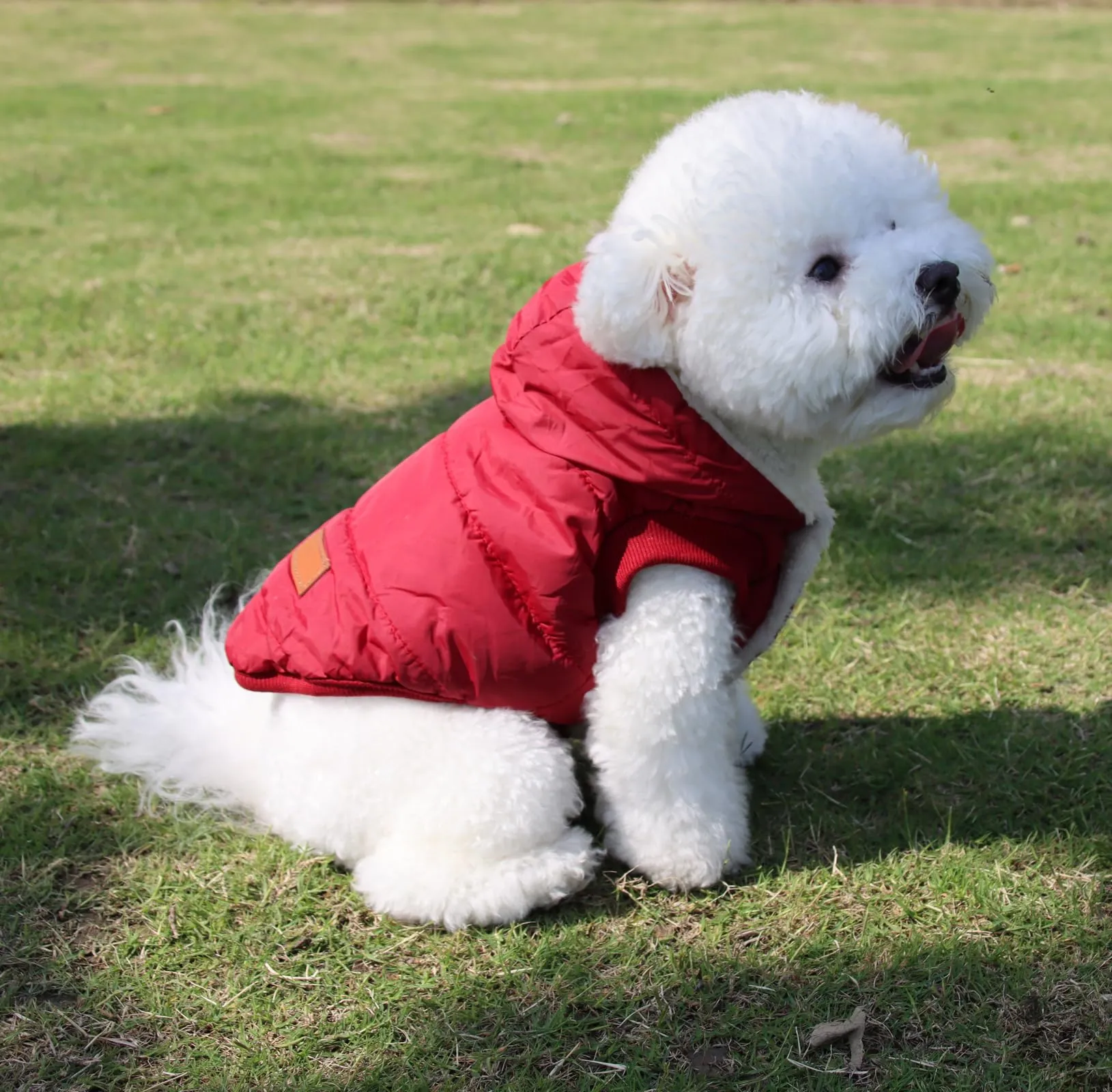 JoyDaog Cappottino Invernale per Cani con Cappuccio e Fodera in Pile, Rosso, XXXL - immagine 8