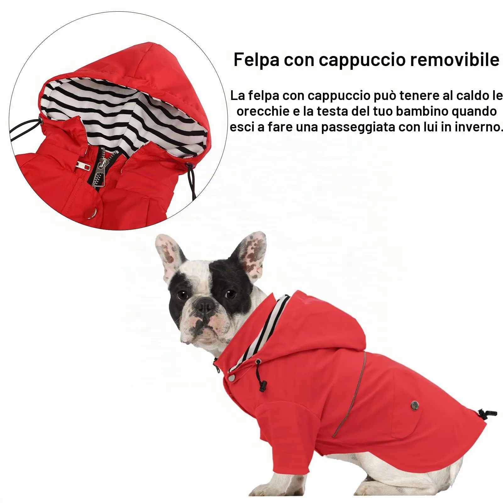 Impermeabile Morezi per cani, traspirante con cerniera e cappuccio staccabile, Rosso, S - immagine 6