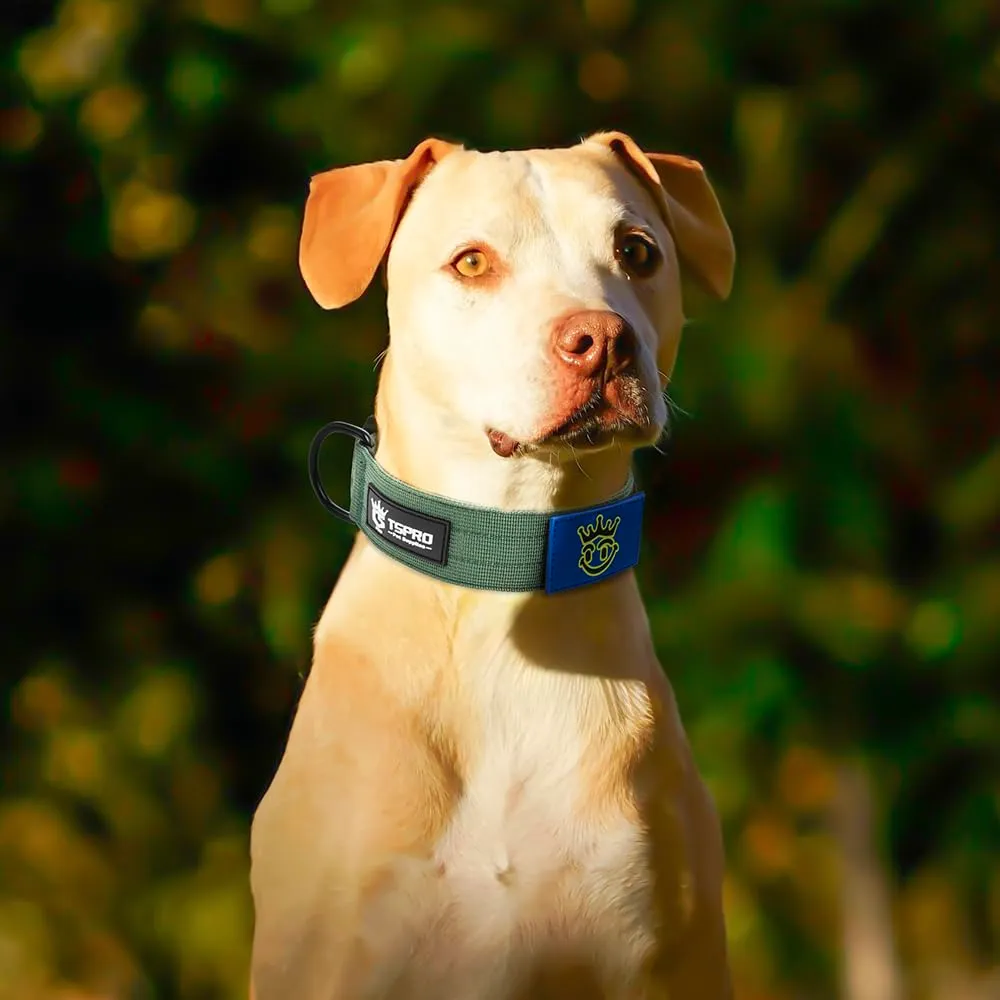 TSPRO Collare Tattico per Cani con Fibbia a Sblocco Rapido e Pannello per Toppe - immagine 6
