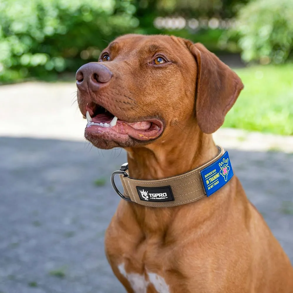 TSPRO Collare Tattico per Cani con Fibbia a Sblocco Rapido e Pannello per Toppe - immagine 6