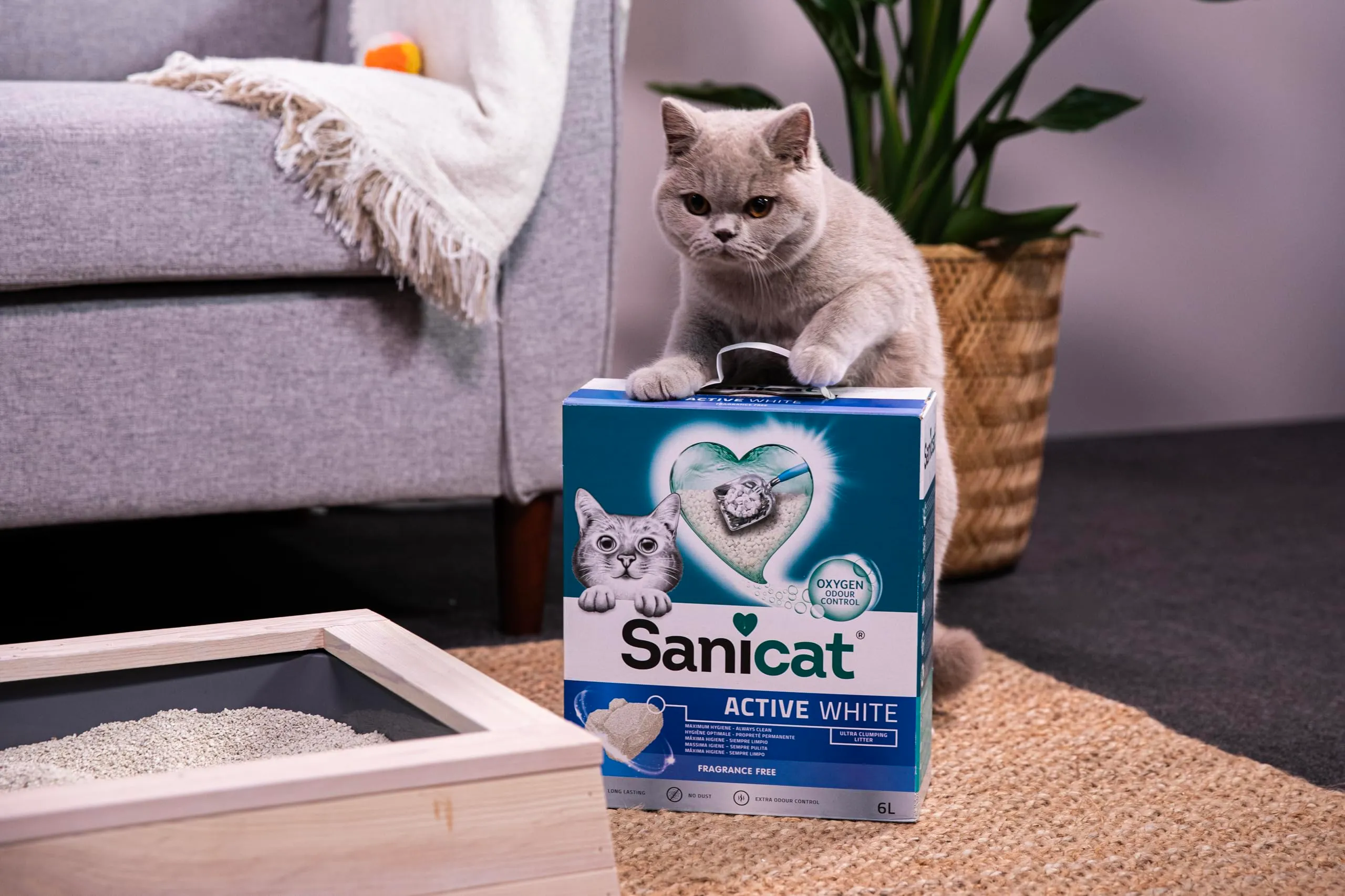 Sanicat Lettiera per Gatti Agglomerante Senza Profumo, 6 L - immagine 10
