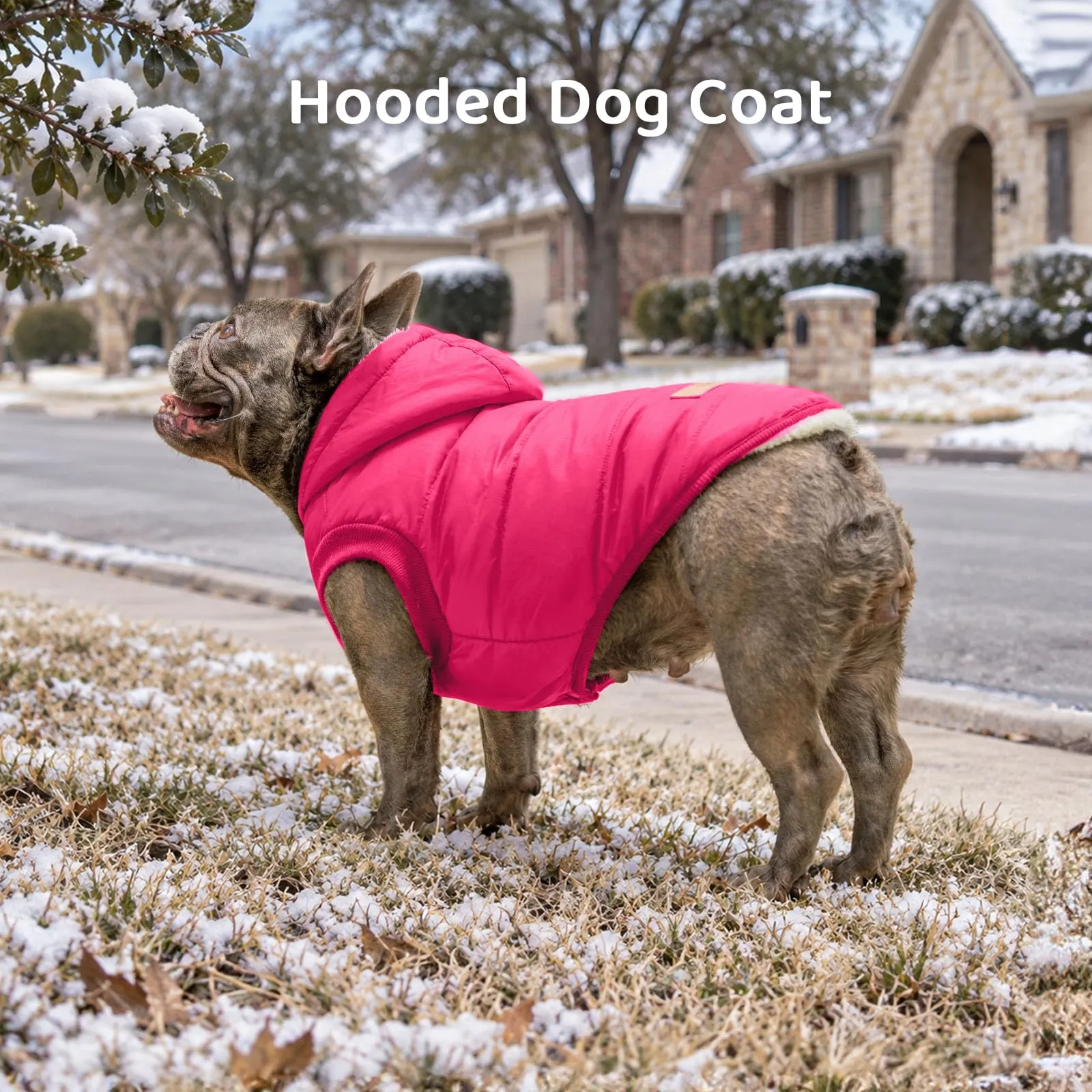 JoyDaog Cappottino Invernale per Cani con Cappuccio Foderato in Pile, Rosa, Taglia S - immagine 3