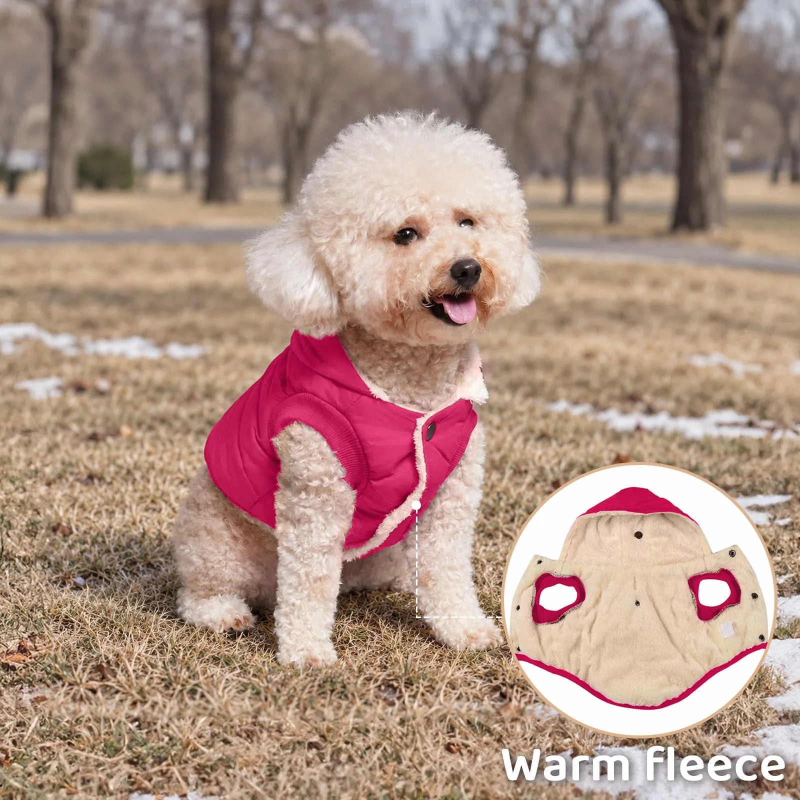 JoyDaog Cappottino Invernale per Cani con Cappuccio Foderato in Pile, Rosa, Taglia S - immagine 6