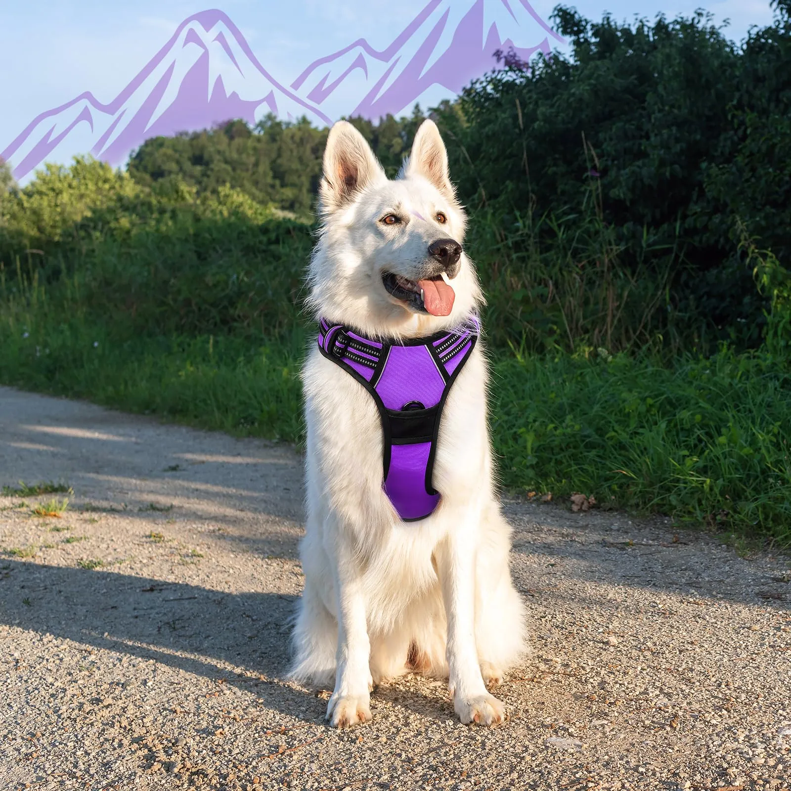 Eagloo Pettorina Cane Anti Tiro, Viola, XL - immagine 9