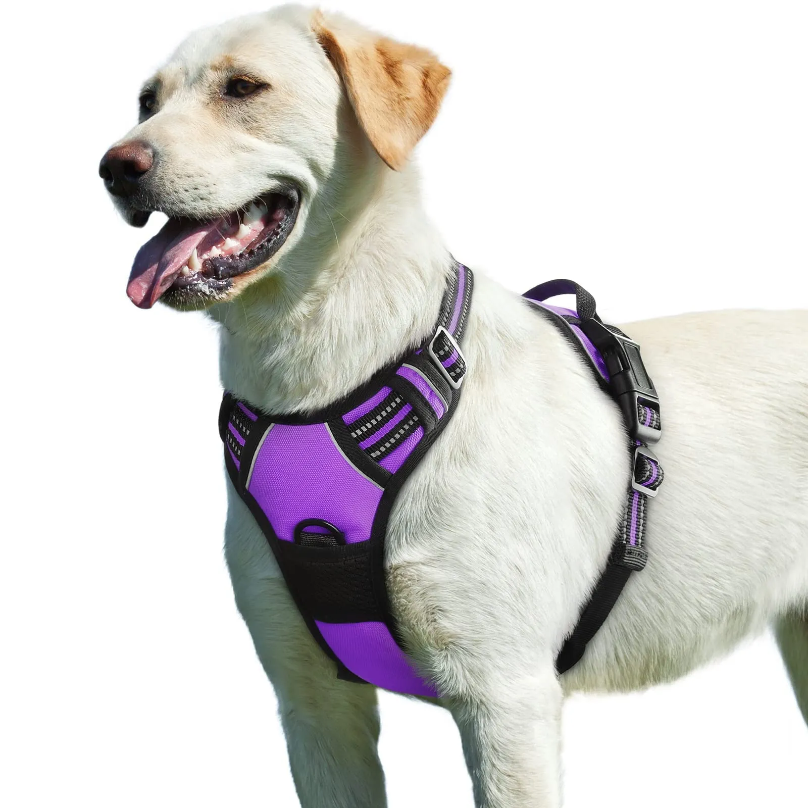 Eagloo Pettorina Cane ad H Anti Tiro, Viola, Taglia L - immagine 1