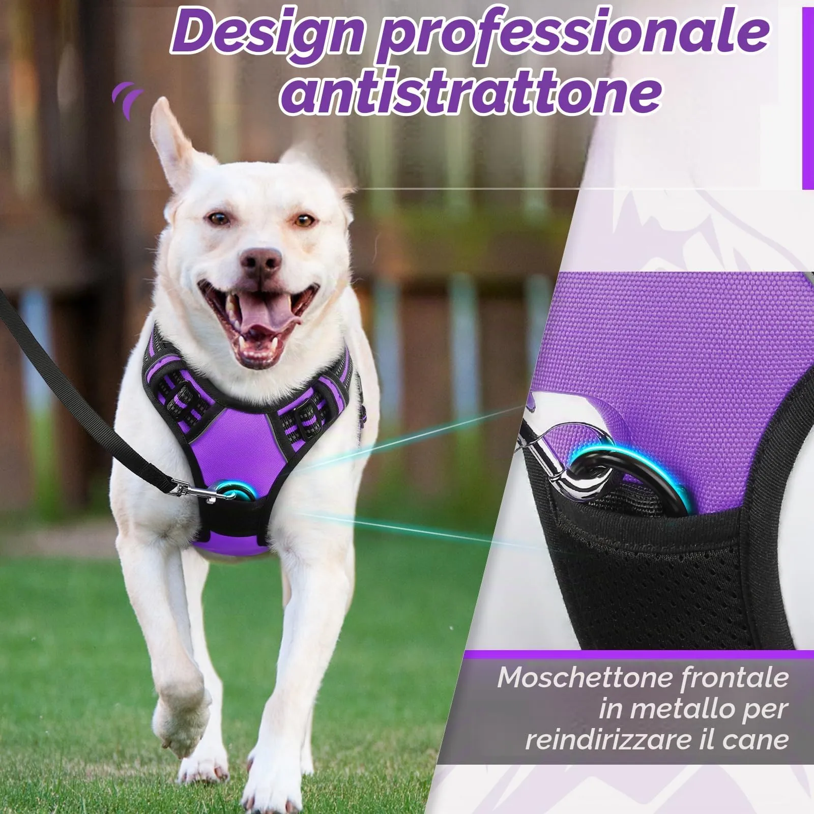 Eagloo Pettorina Cane ad H Anti Tiro, Viola, Taglia L - immagine 3