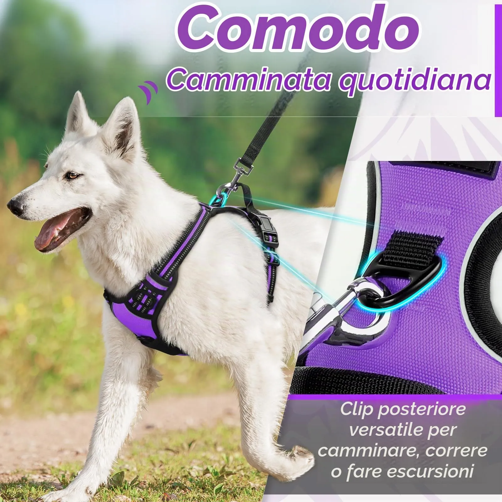 Eagloo Pettorina Cane ad H Anti Tiro, Viola, Taglia L - immagine 4