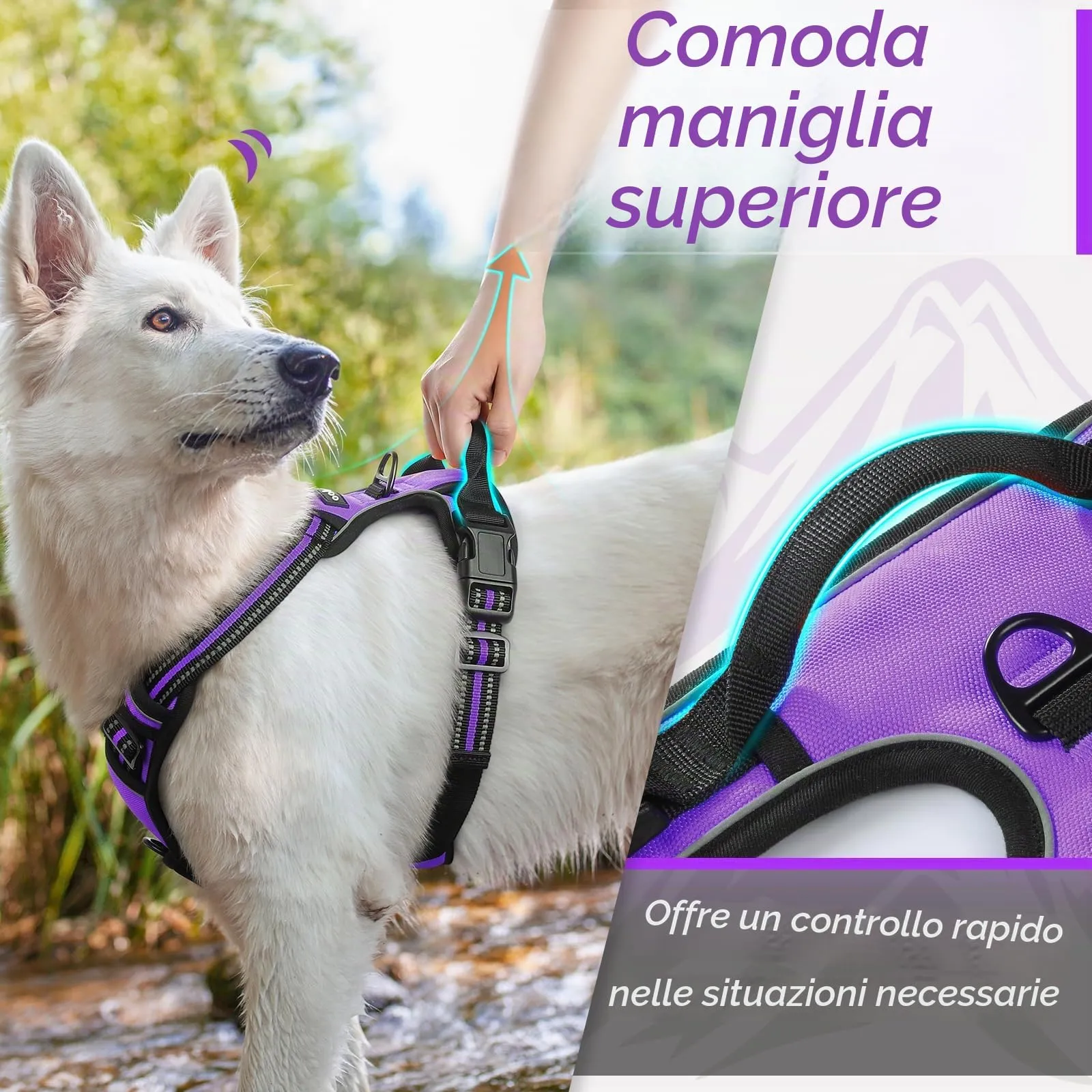 Eagloo Pettorina Cane ad H Anti Tiro, Viola, Taglia L - immagine 5