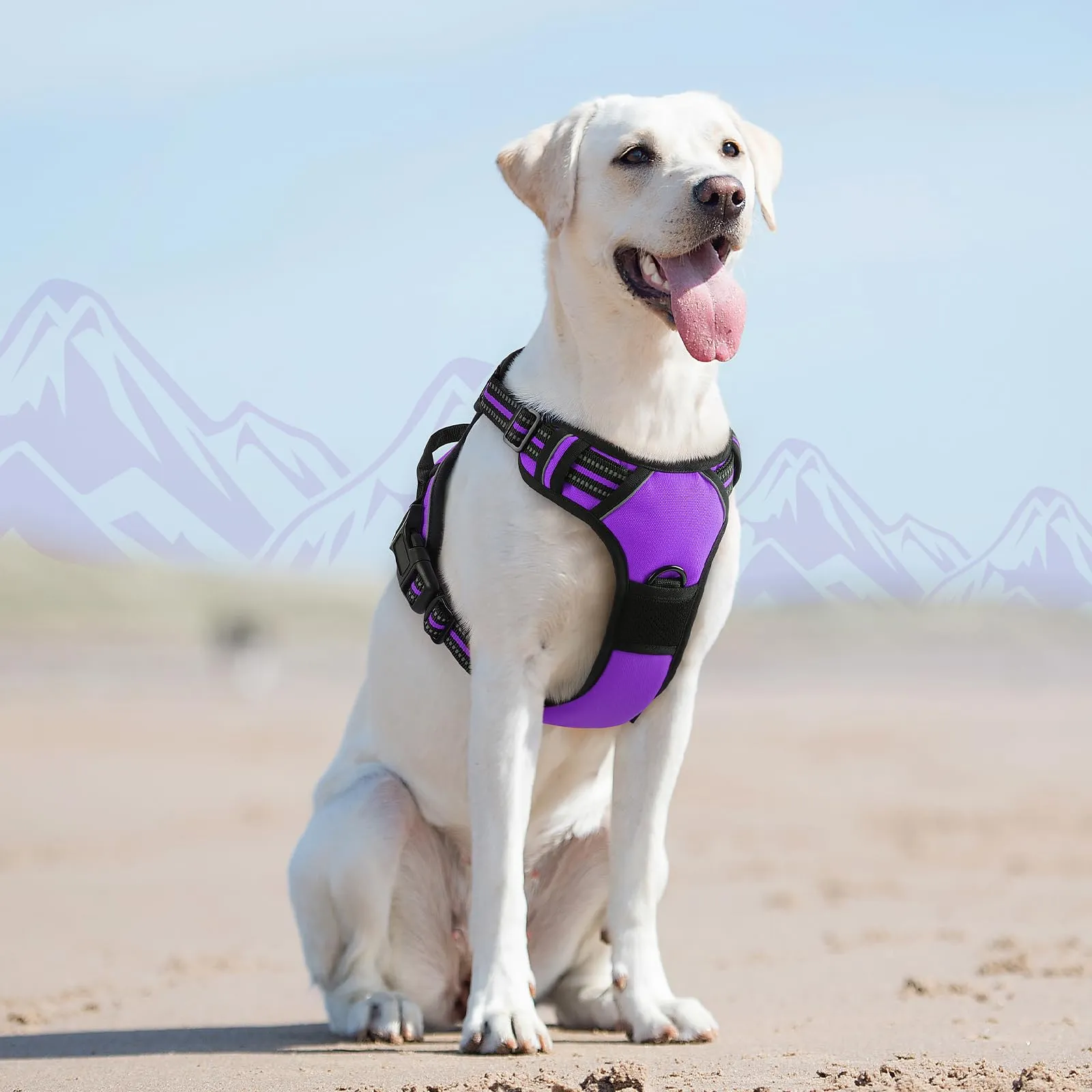 Eagloo Pettorina Cane ad H Anti Tiro, Viola, Taglia L - immagine 9