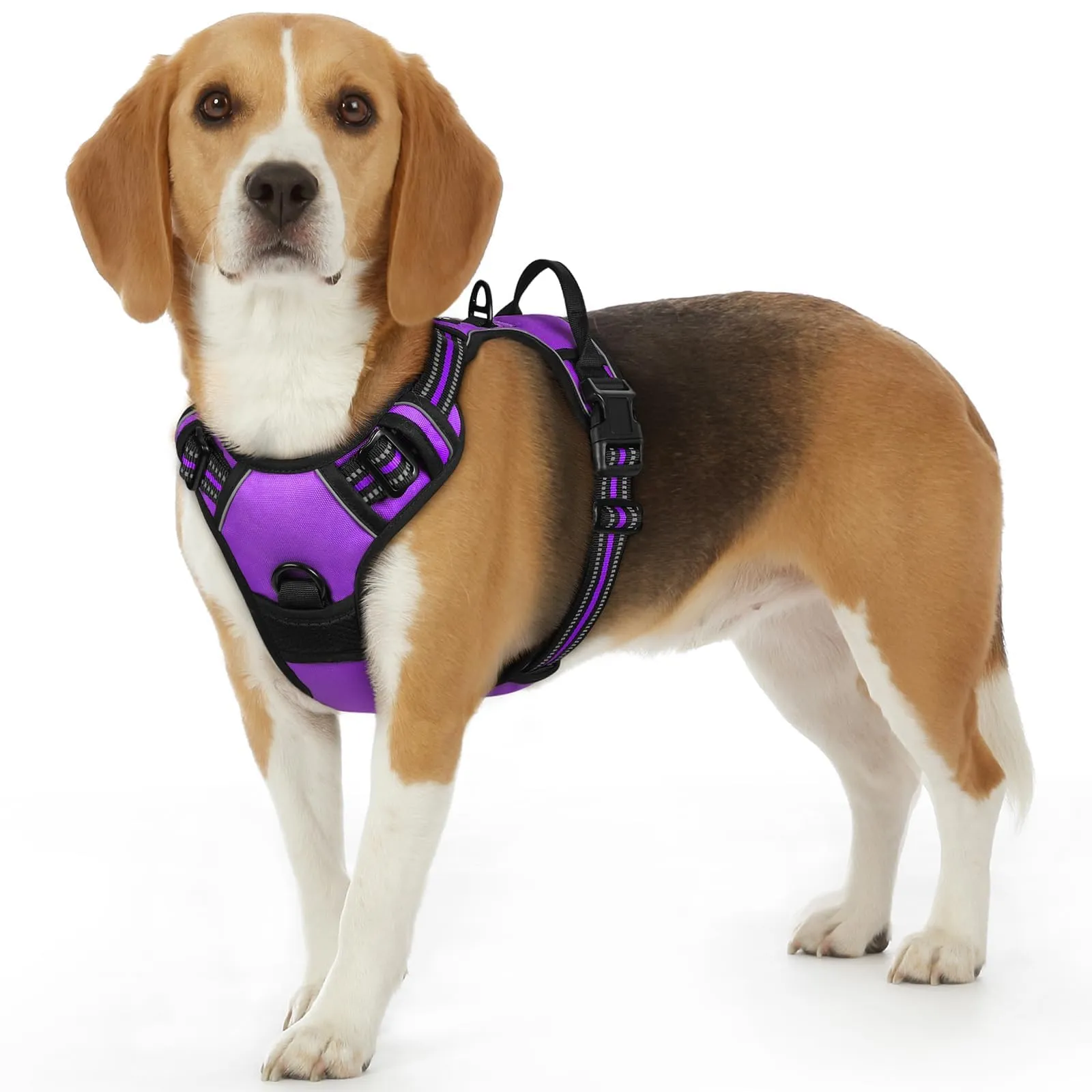 Eagloo Pettorina Cane ad H Anti Tiro, Viola, Taglia S - immagine 1