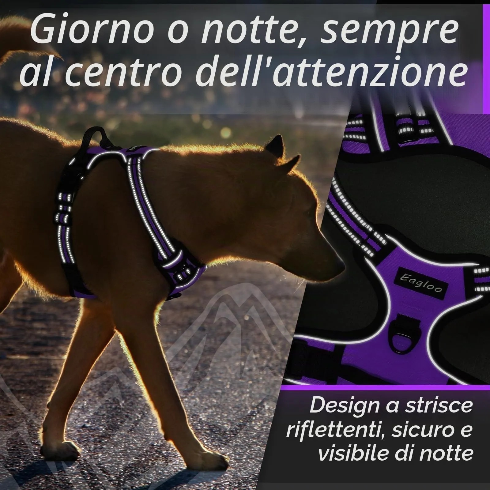 Eagloo Pettorina Cane ad H Anti Tiro, Viola, Taglia S - immagine 8