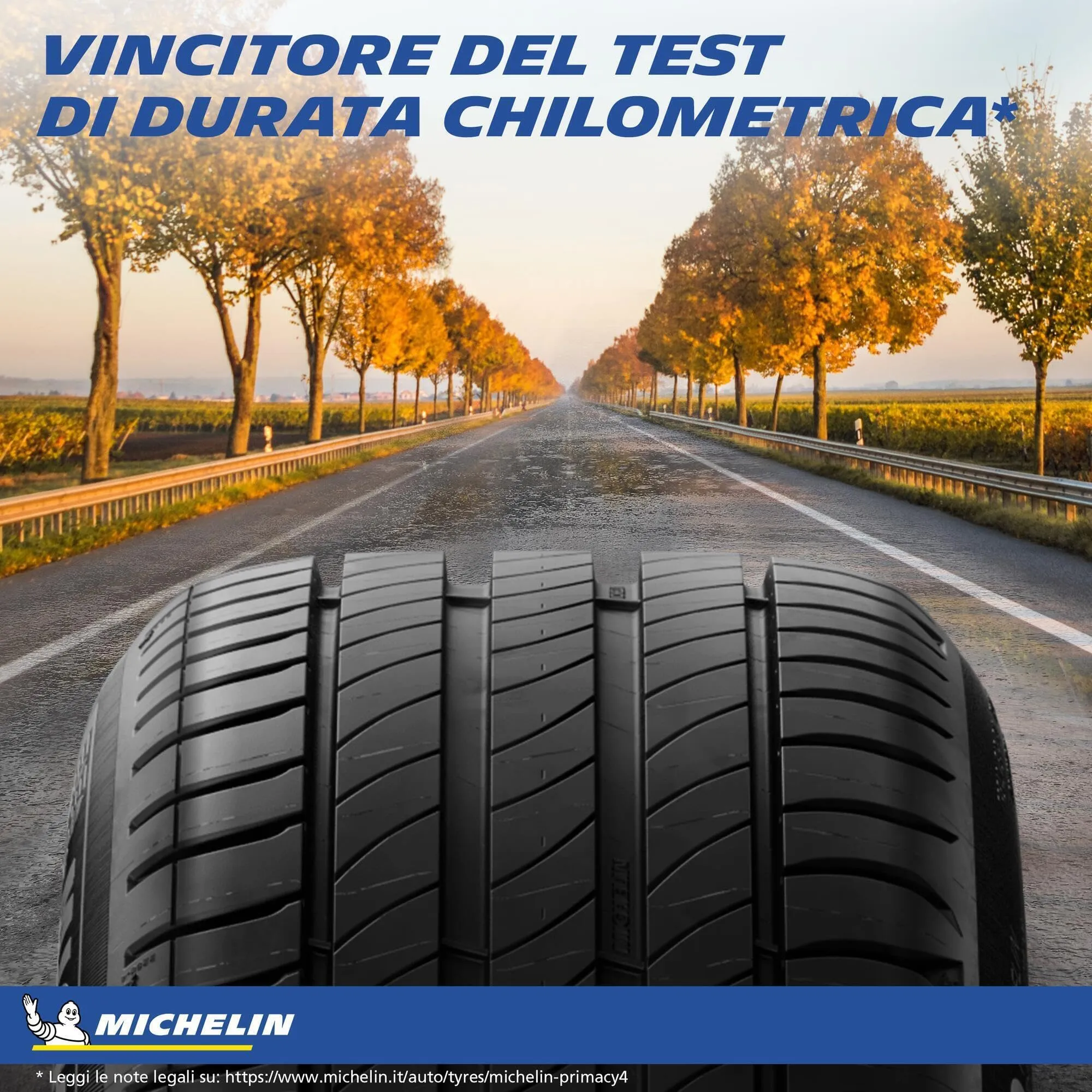 Michelin Primacy 4 195/65R15 91H Pneumatico Estate - immagine 6