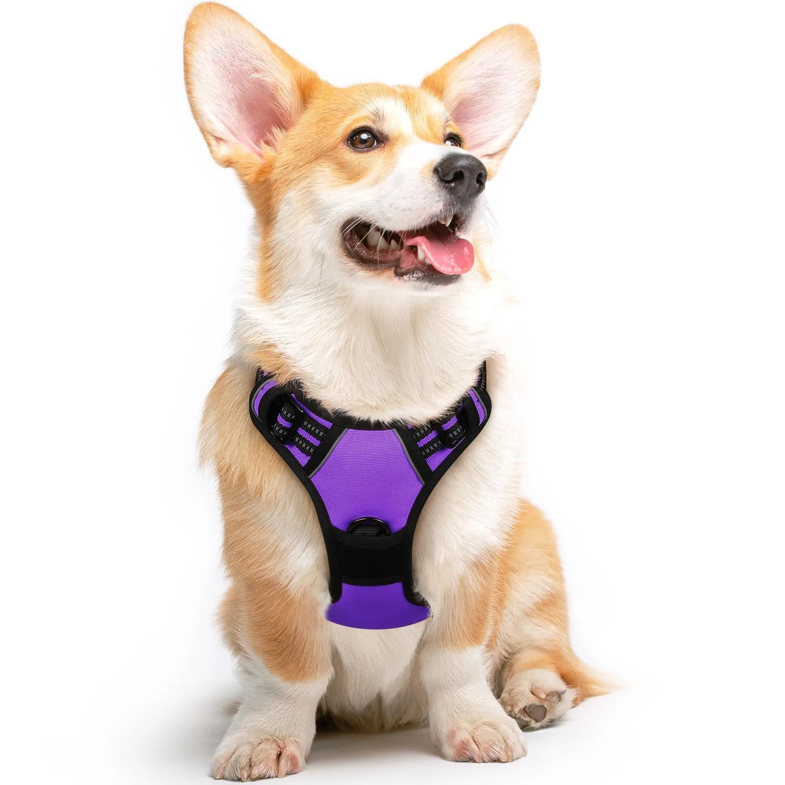 Eagloo Pettorina Cane Anti Tiro, Viola, Taglia M - immagine 1