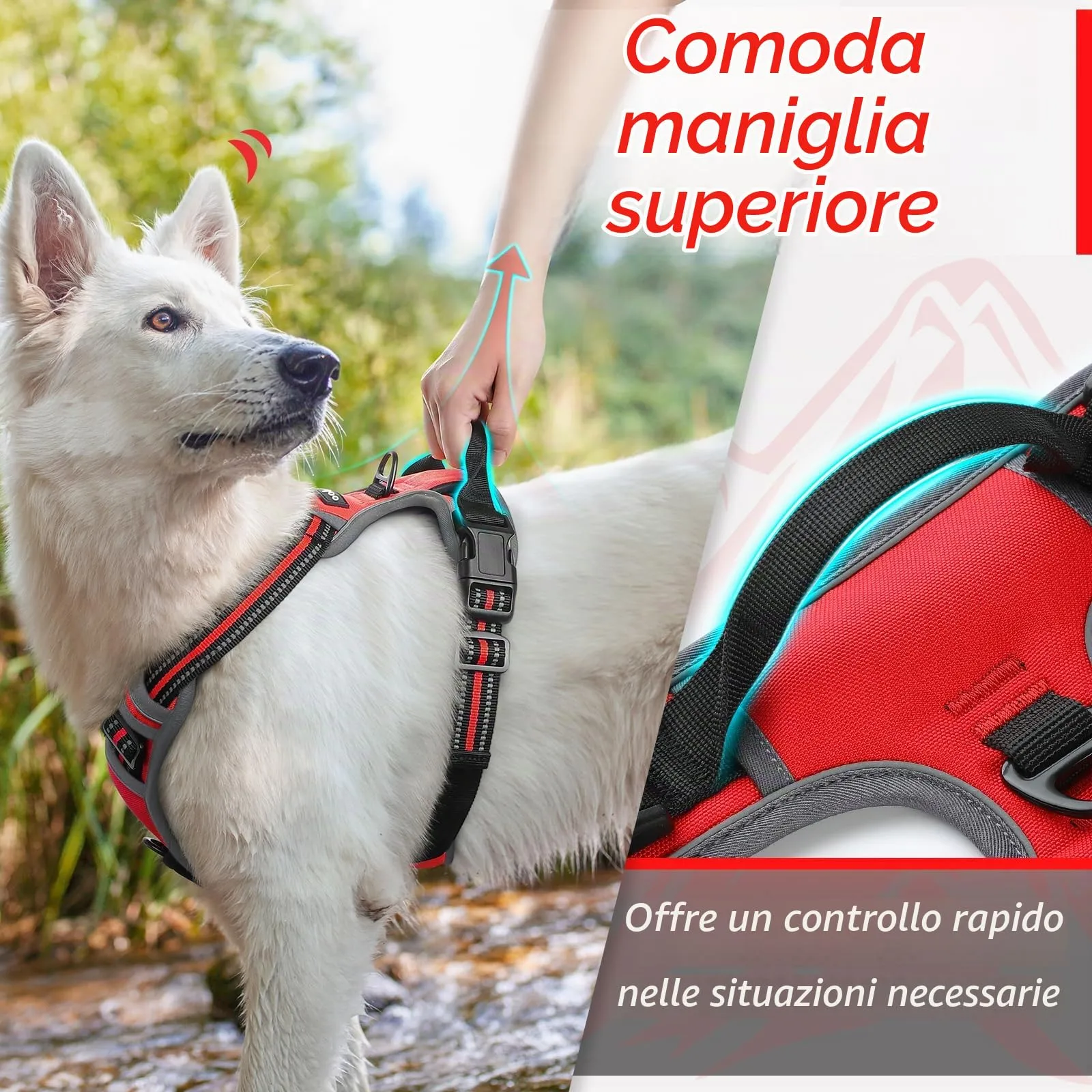Eagloo Pettorina Cane Anti Tiro, Rossa, Taglia L - immagine 5