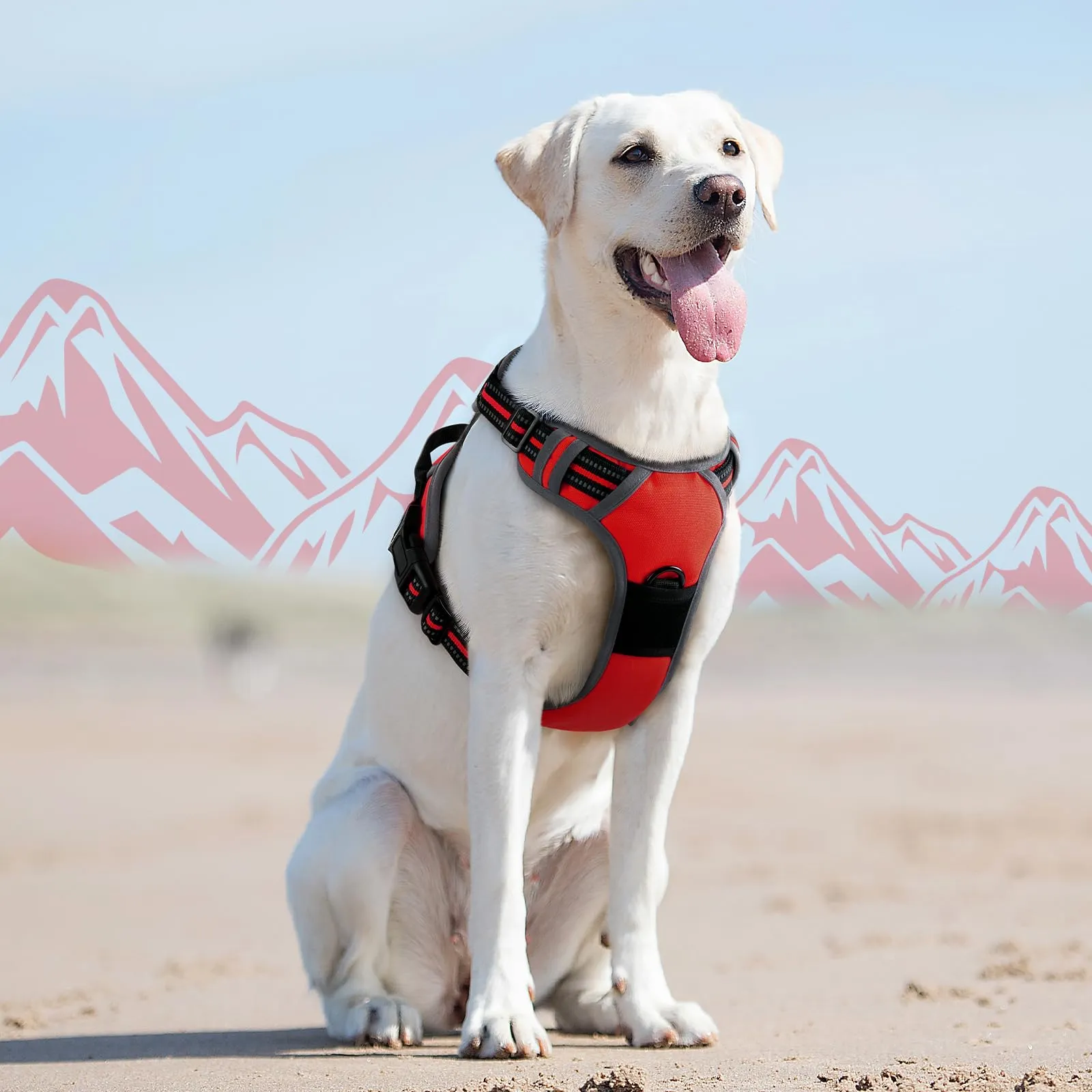 Eagloo Pettorina Cane Anti Tiro, Rossa, Taglia L - immagine 9