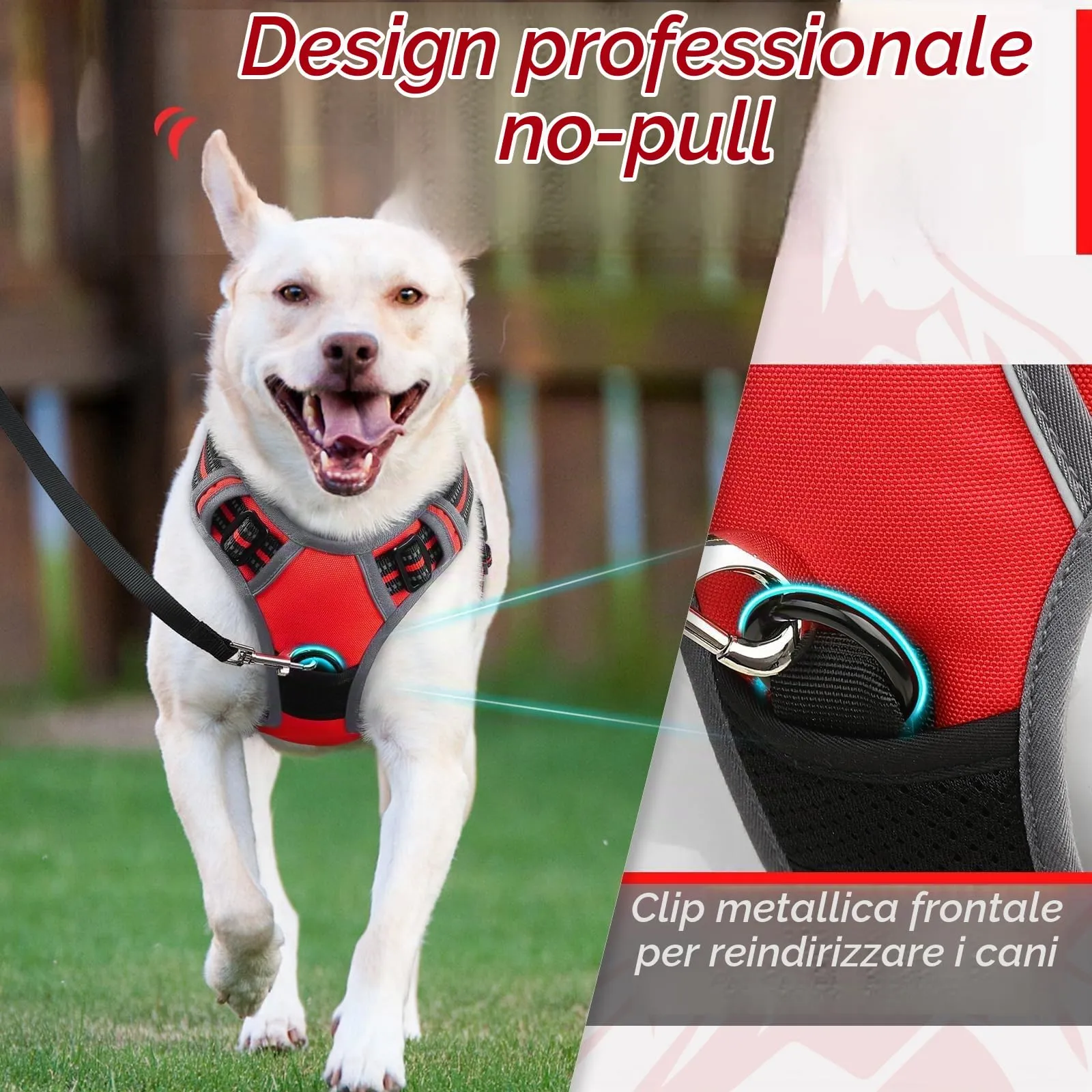 Eagloo Pettorina Cane ad H Anti Tiro, Rossa, Taglia S - immagine 3