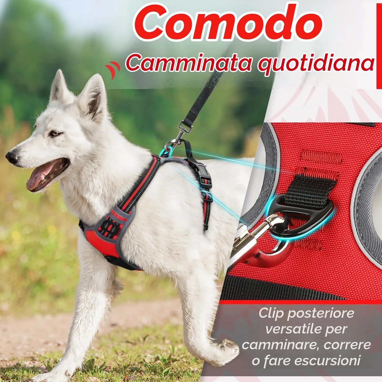 Eagloo Pettorina Cane ad H Anti Tiro, Rossa, Taglia S - immagine 4