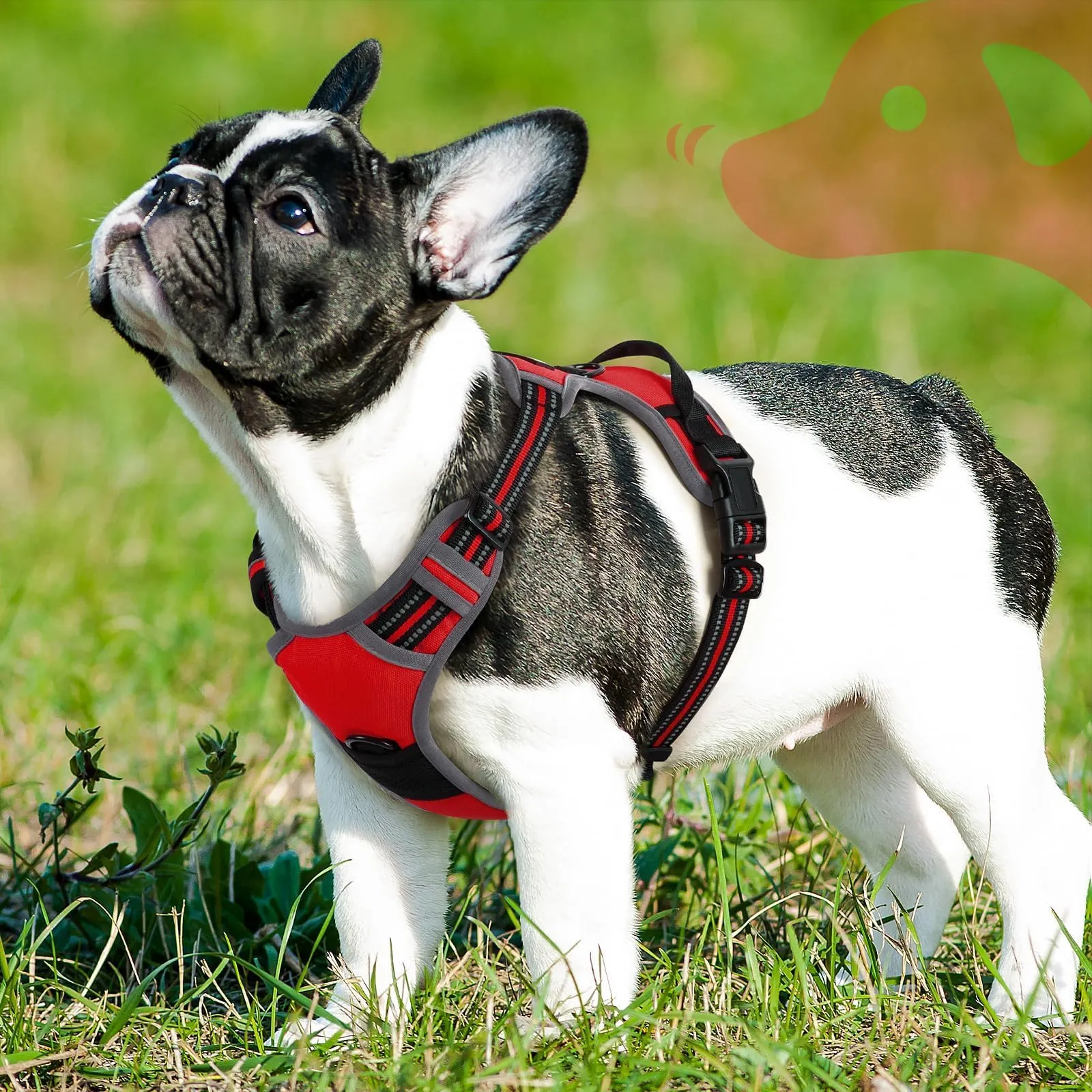Eagloo Pettorina Cane ad H Anti Tiro, Rossa, Taglia S - immagine 9