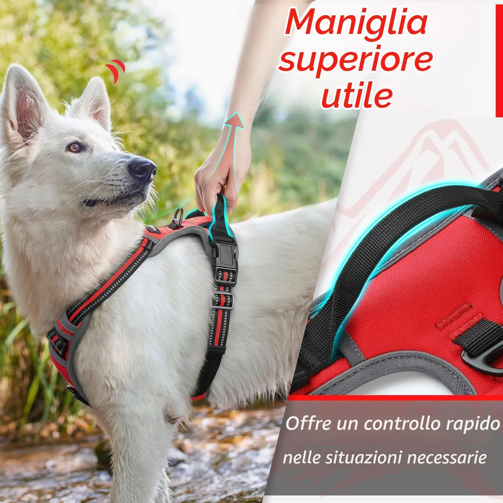 Eagloo Pettorina Cane ad H Anti Tiro, Rossa, XL - immagine 5
