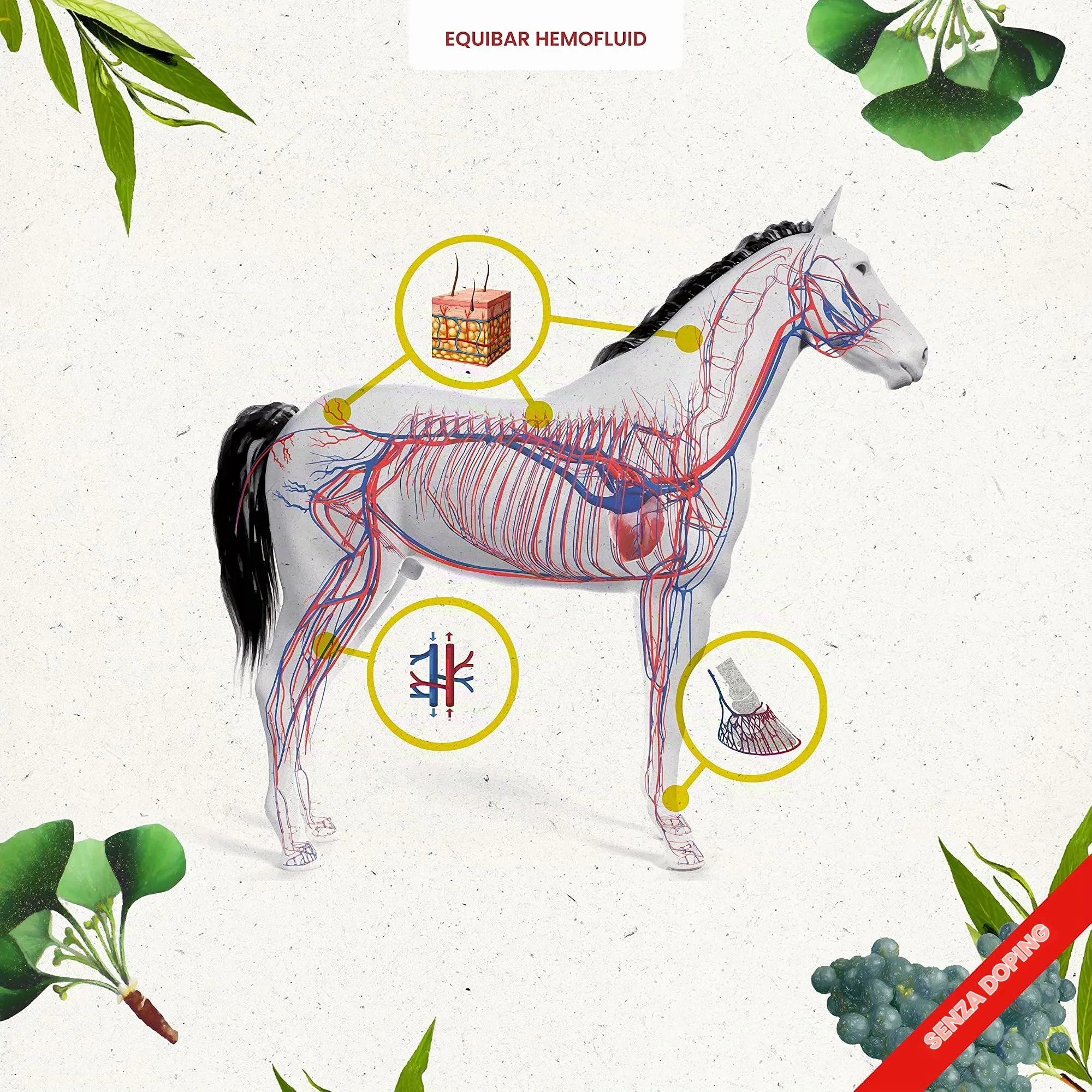 Guidolin Horses Equibar Hemofluid Barretta Funzionale 600g - immagine 3