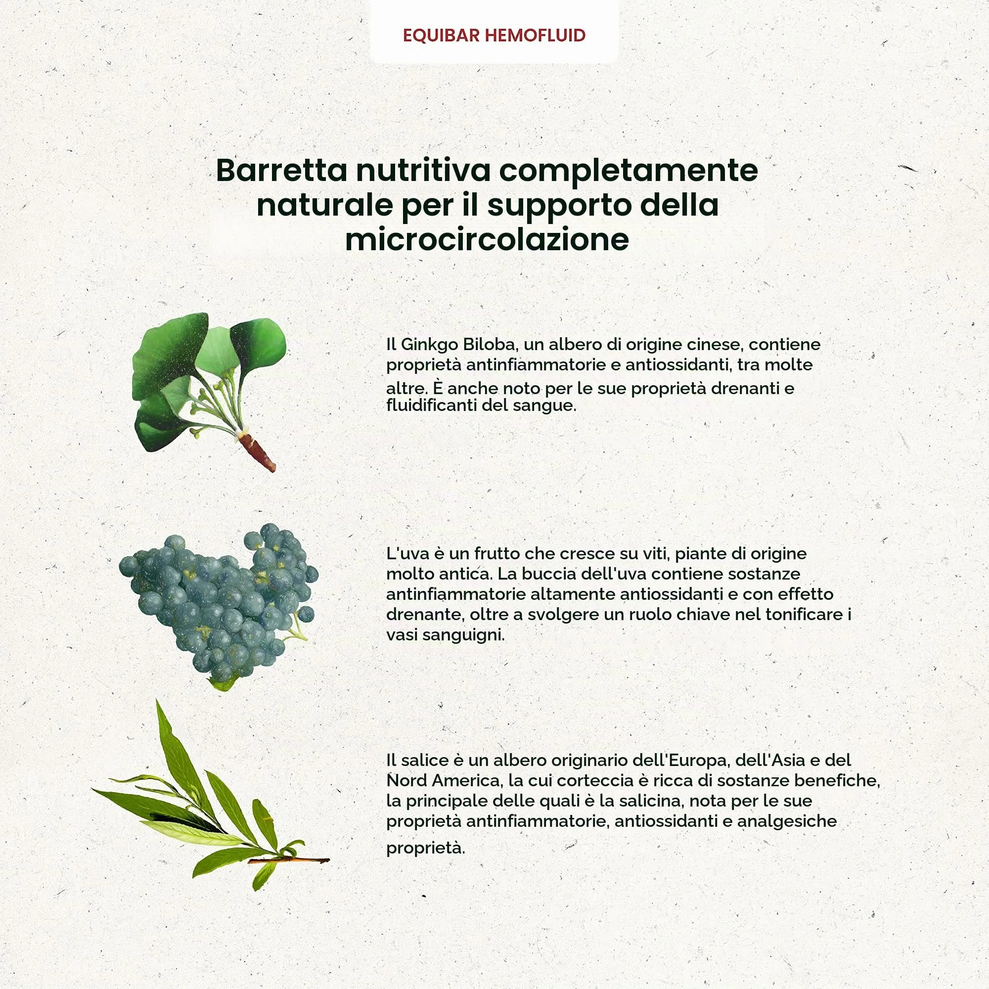 Guidolin Horses Equibar Hemofluid Barretta Funzionale 600g - immagine 4