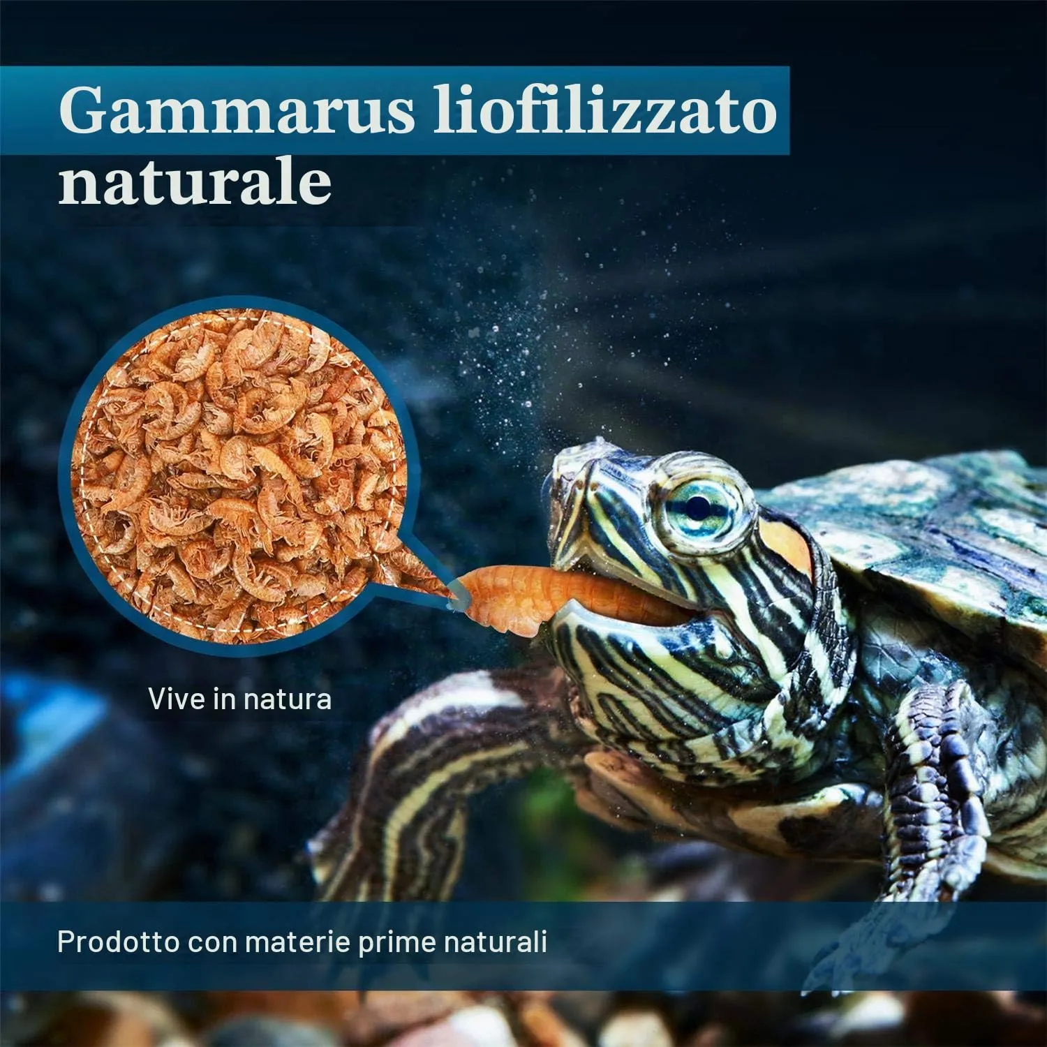 Nobleza Cibo per Tartarughe a Base di Gamberi di Fiume Naturali, 120g - immagine 3