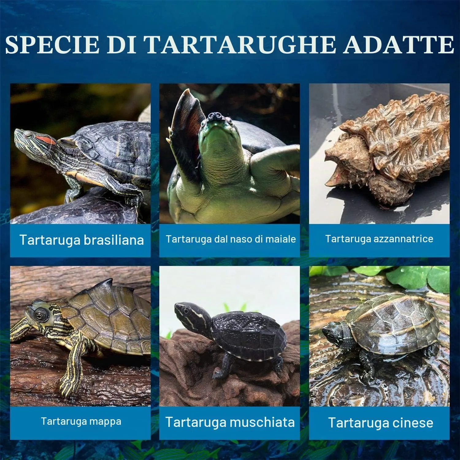 Nobleza Cibo per Tartarughe a Base di Gamberi di Fiume Naturali, 120g - immagine 4