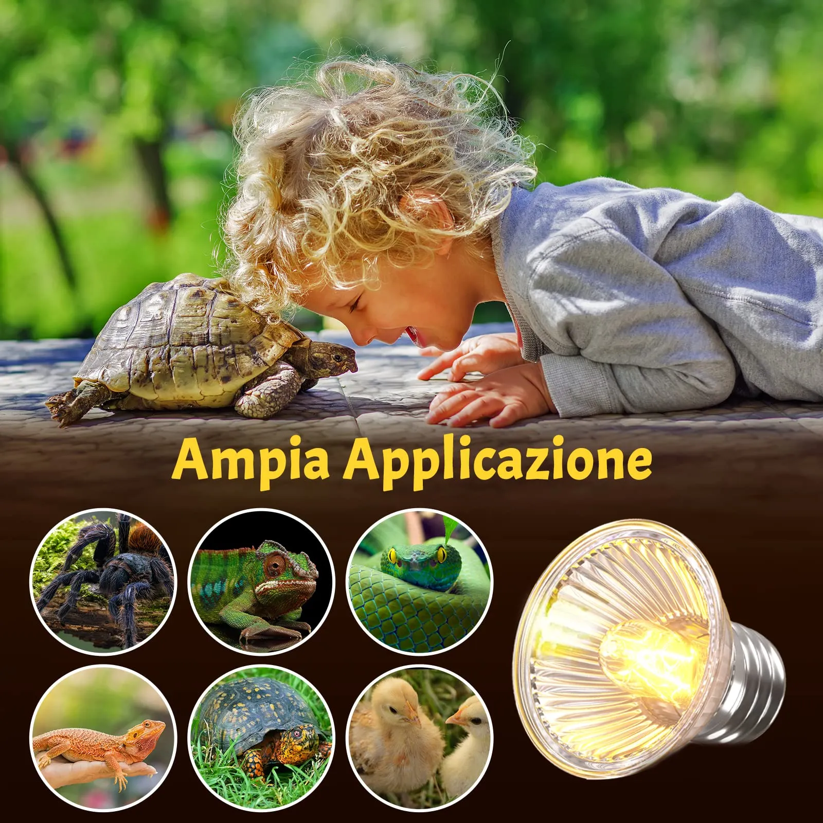 Bonlux Lampadina Riscaldante LED UVA UVB E27 50W per Rettili e Tartarughe, 220-240V (4 pezzi) - immagine 2
