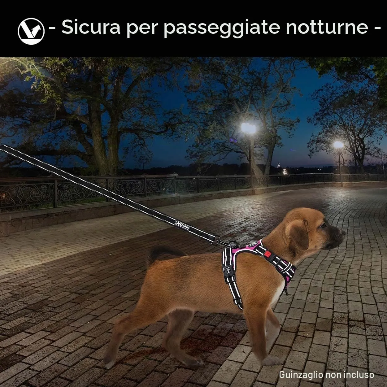 PoyPet Pettorina anti-trazione per cani con impugnatura e riflettenti (rosa, S) - immagine 6