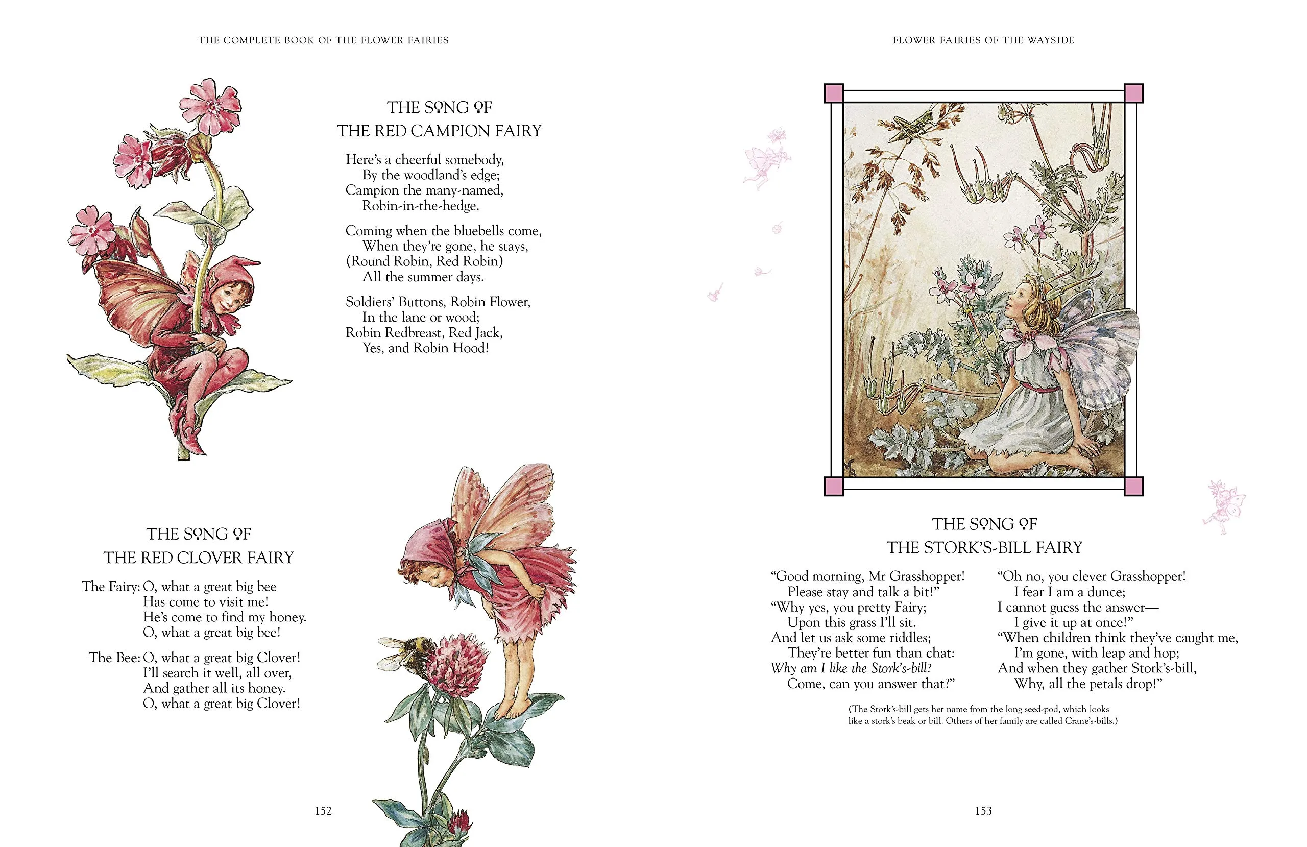 The Complete Book of the Flower Fairies - immagine 3