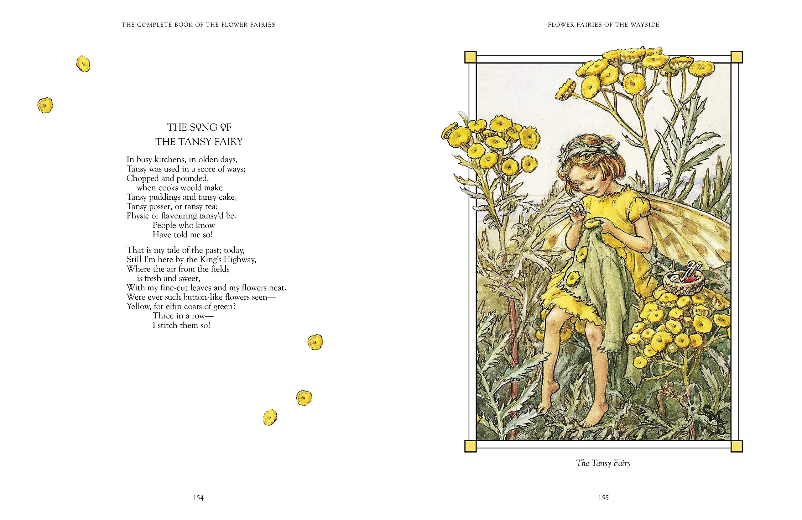 The Complete Book of the Flower Fairies - immagine 4