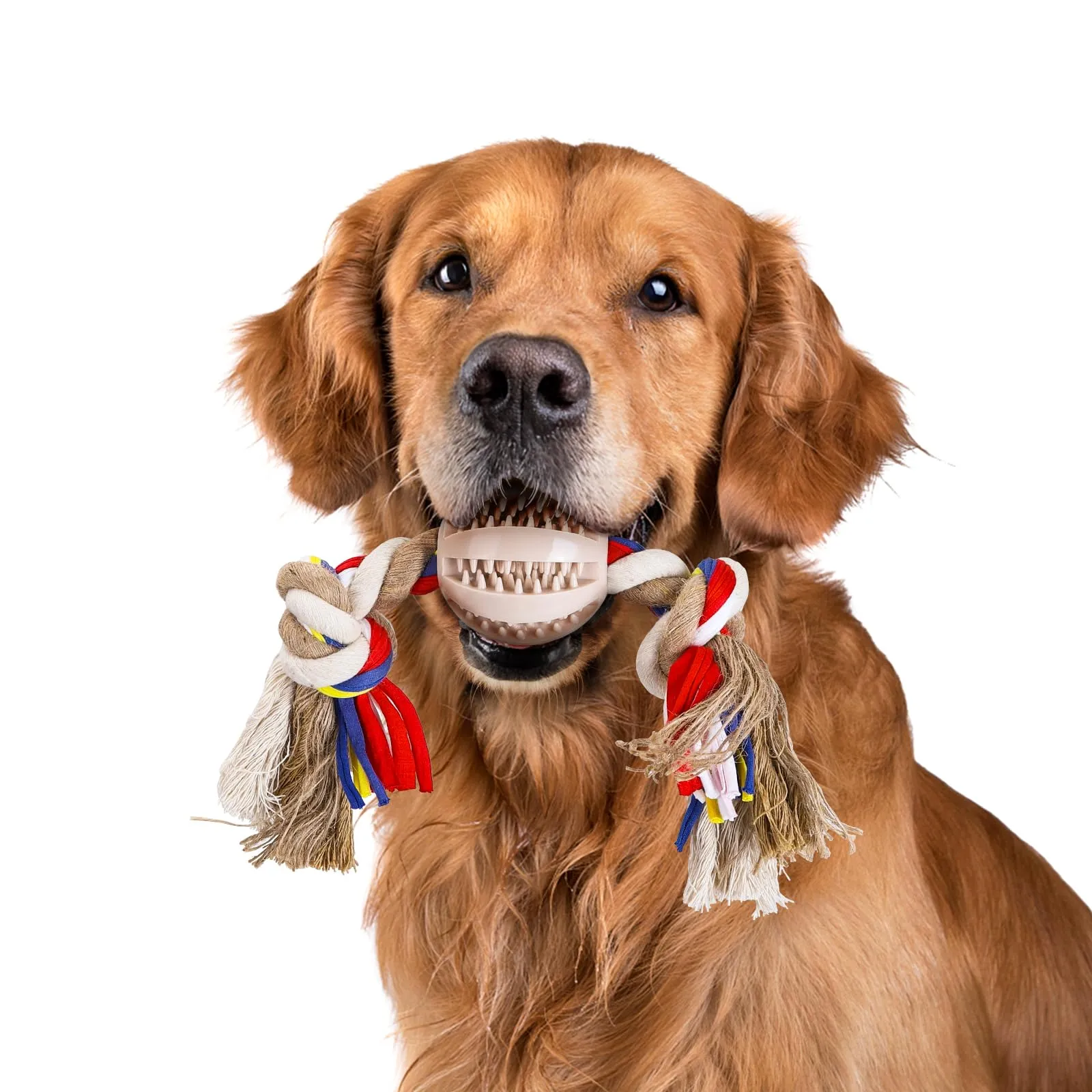 Nobleza Corda Giocattolo per Cani in Cotone, Beige e Marrone, 32cm - immagine 1