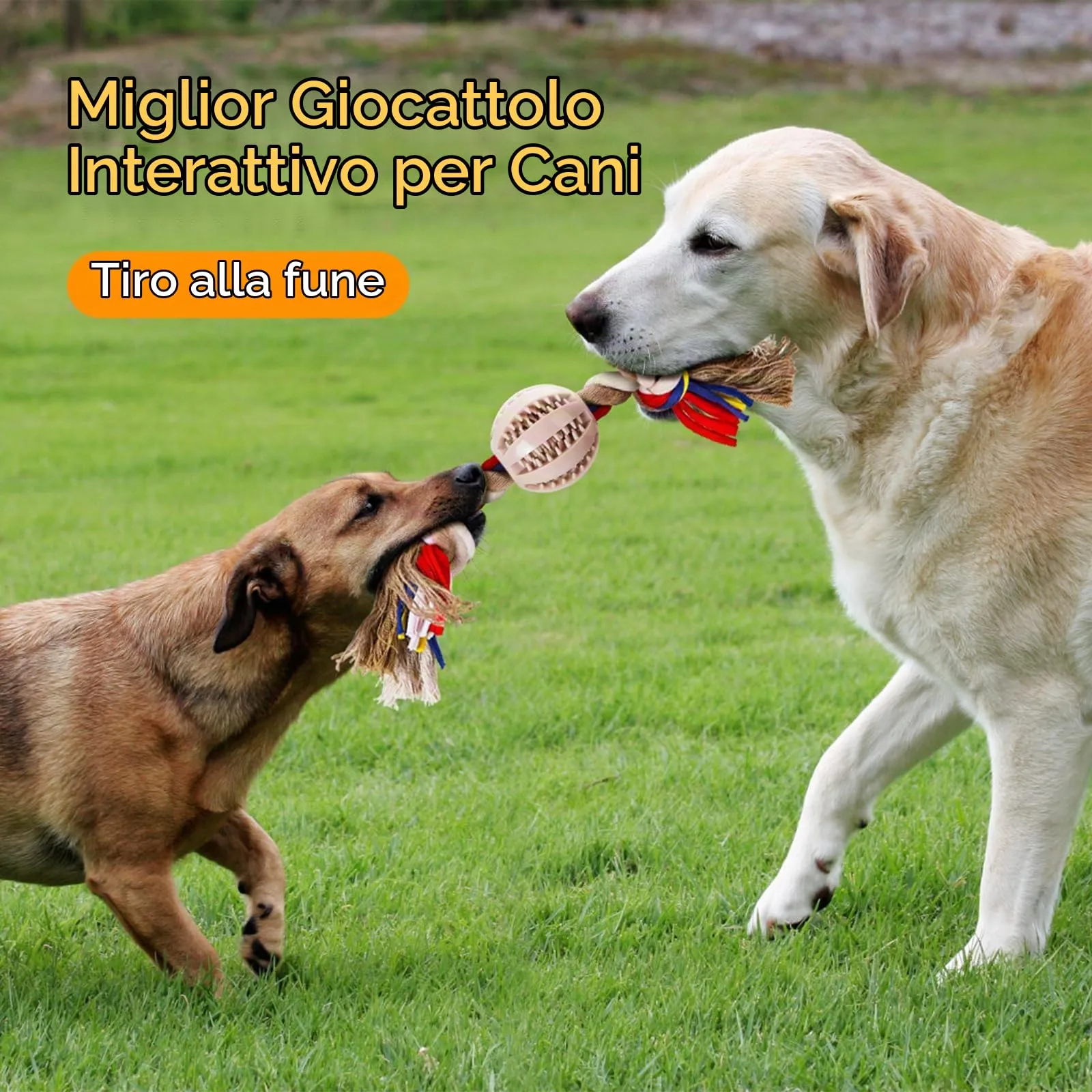 Nobleza Corda Giocattolo per Cani in Cotone, Beige e Marrone, 32cm - immagine 7