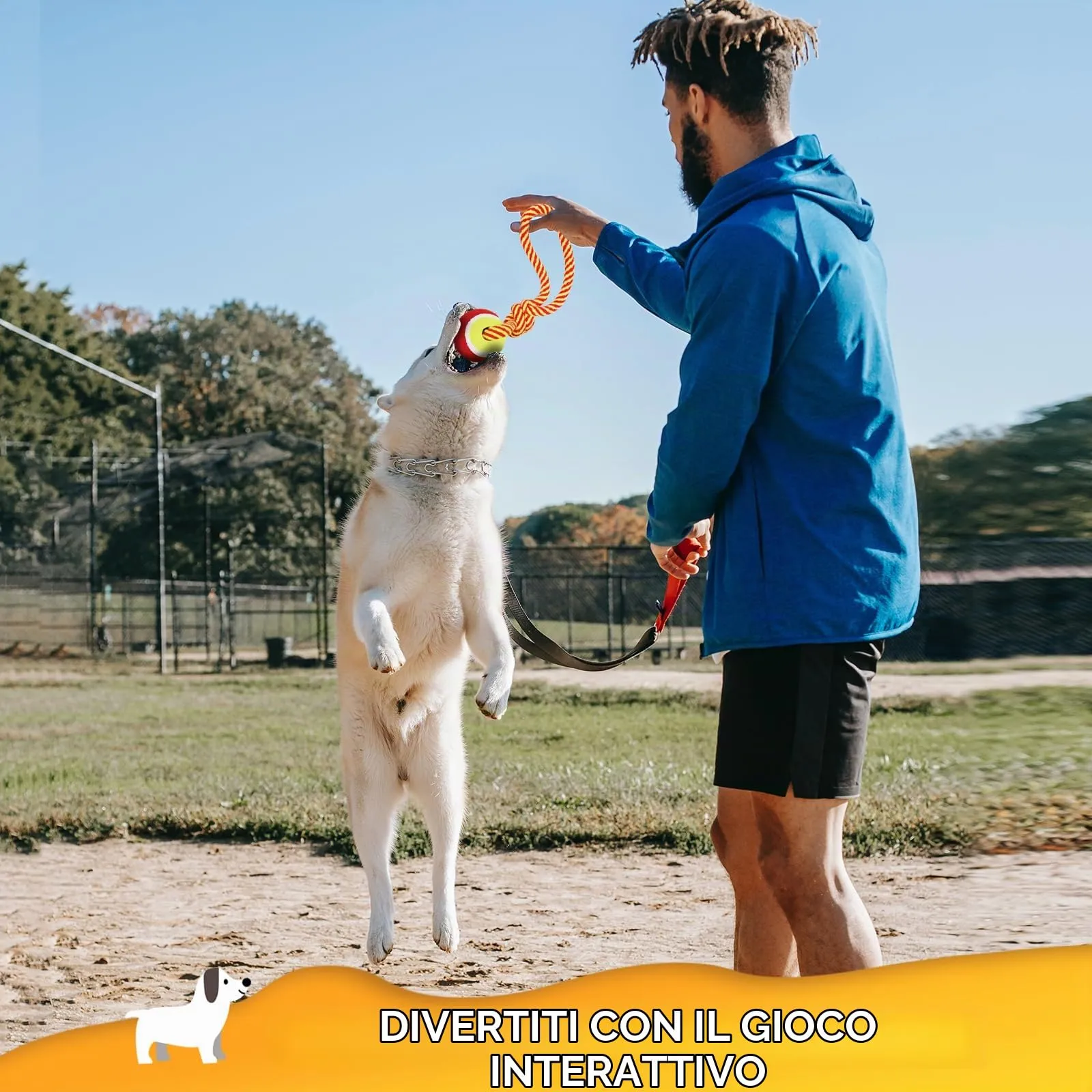 Nobleza Corda Giocattolo per Cani in Cotone per Salute Dentale, 28 cm - immagine 8